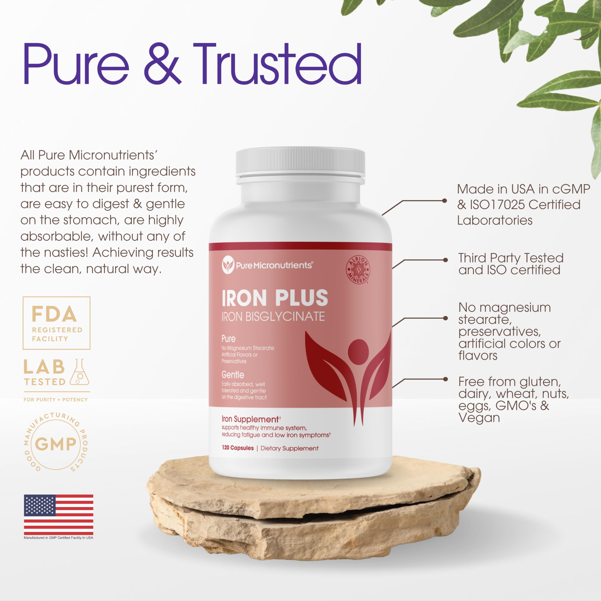 Iron Supplement for Women & Men, Natural Ferrous Chelate, Bisglycinate 25mg + Vitamin C, B6, B12, Folic Acid - Iron Pills for Anemia, Iron Deficiency & Energy Support - 120 Count