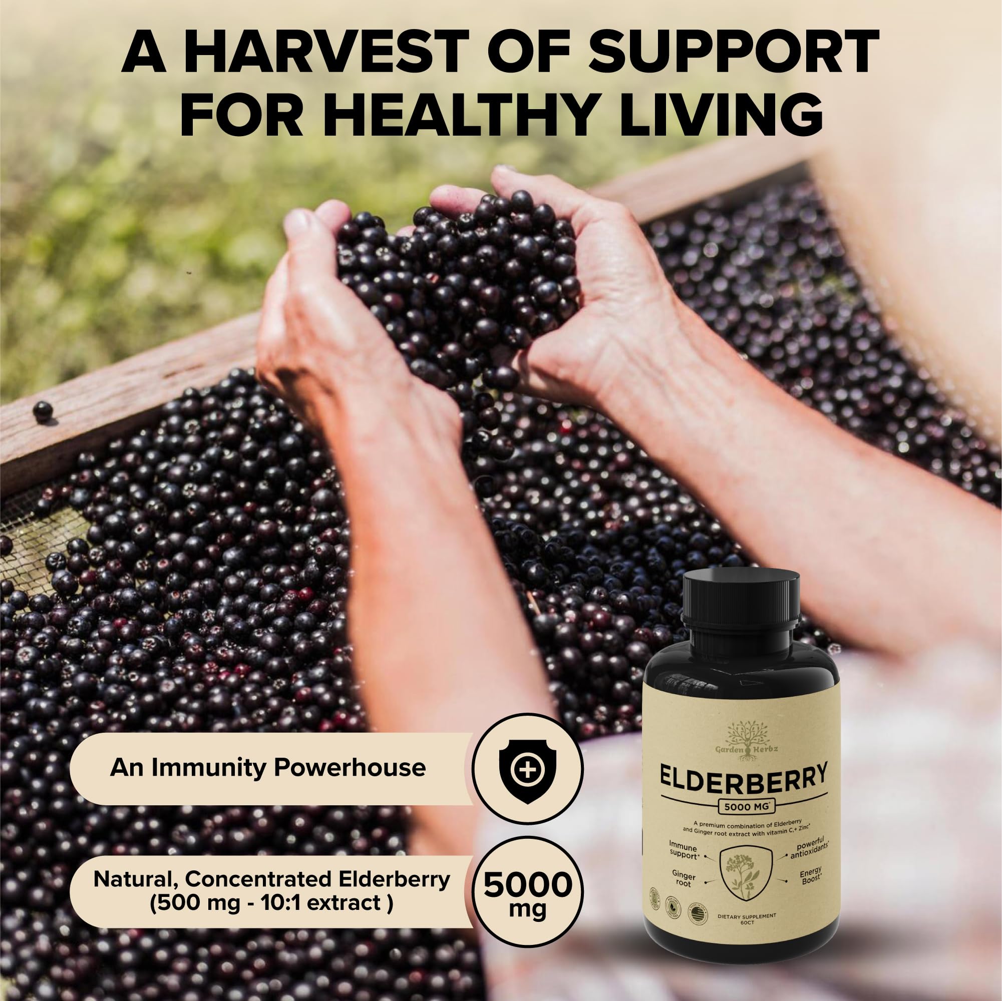Garden of Herbz Elderberry with Vitamin C, Zinc, & Ginger – Potent Immune Booster 5000 Mg Elderberry, Zinc, & Vitamin C – Non-GMO Immunity Vitamins for Adults to Help You Feel Vibrant, 60 Caps.