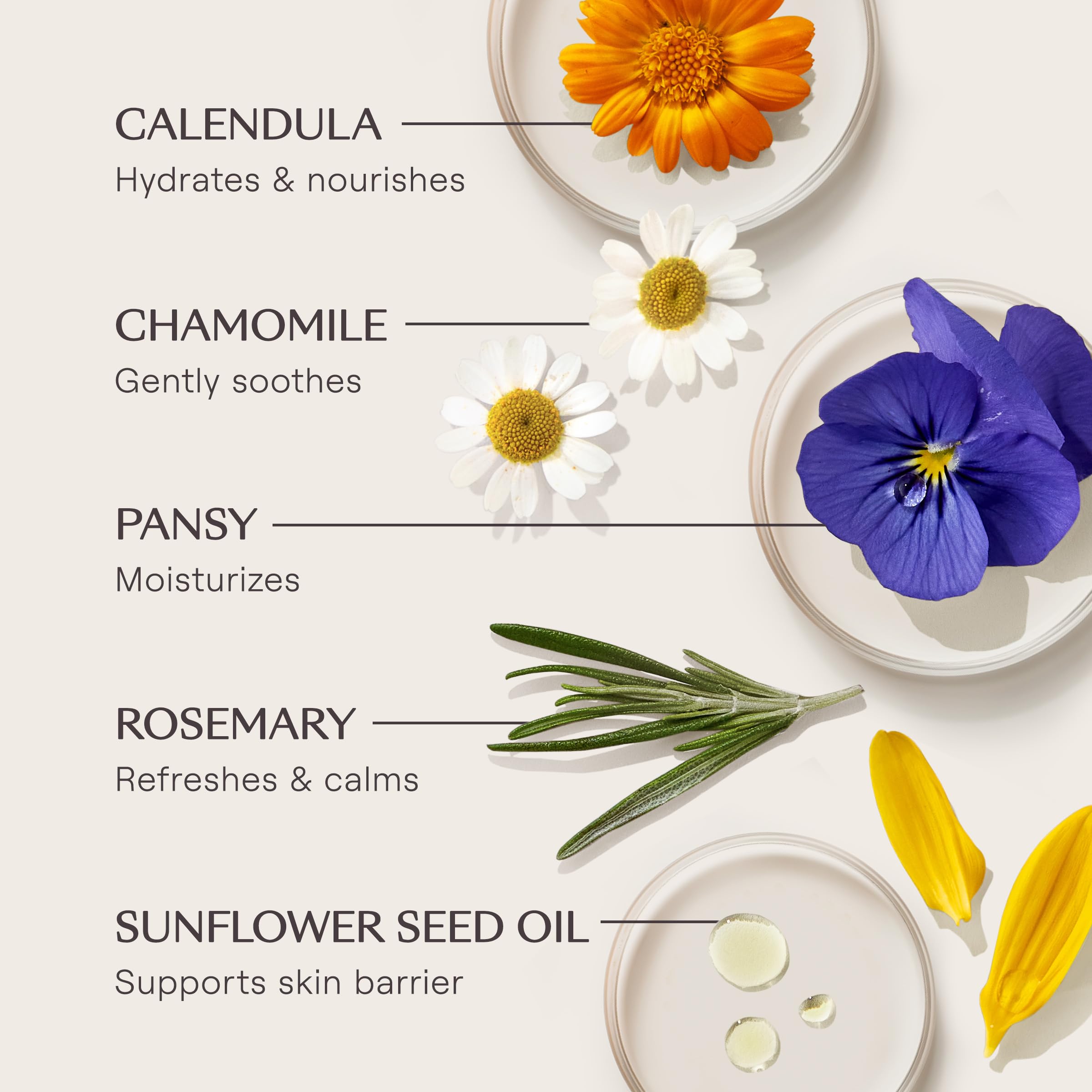 Weleda Skin Food Original Ultra-Rich Body Cream, 1 Fluid Ounce, Plant Rich Moisturizer with Pansy, Chamomile and Calendula