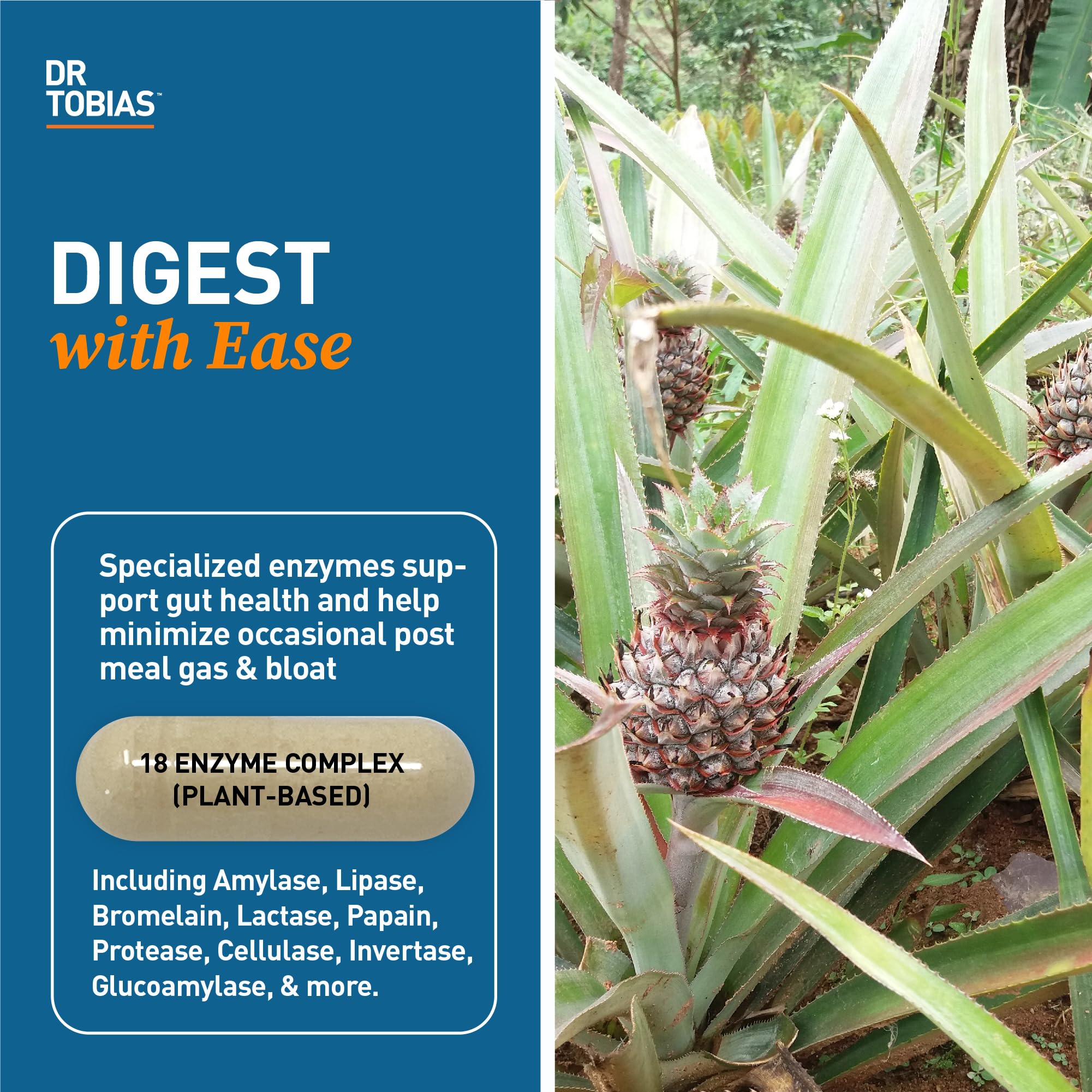 Dr. Tobias Digestive Enzymes with Amylase, Bromelain, Lipase, Lactase, Protease, Papain & More, Digestion Supplement with 18 Enzymes for Digestion and Gut Health, 60 Capsules, 30 Servings