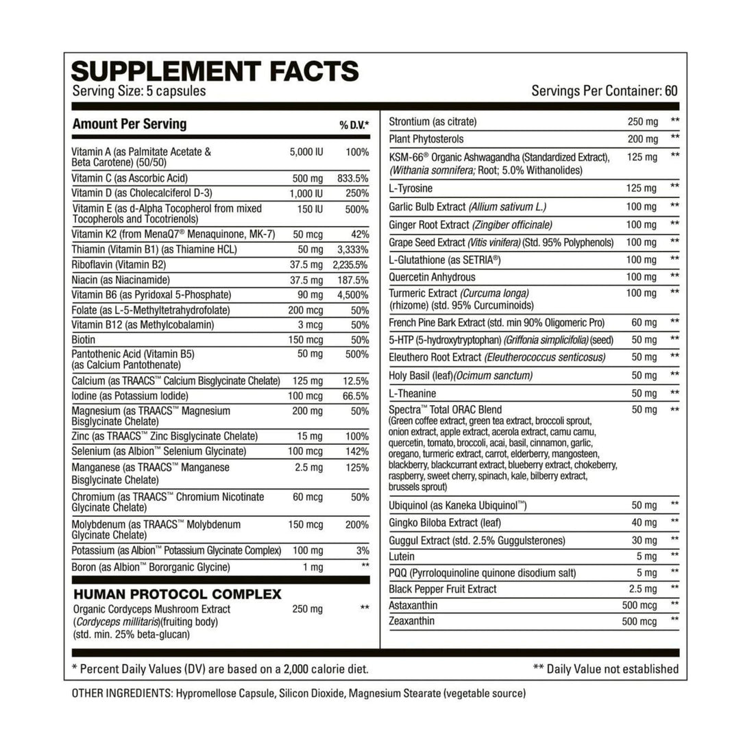 HD MUSCLE VitaHD Essential Multivitamin | Athlete-Specific Vitamins, Minerals, & Nutrients | Organic Mushroom Blend, KSM66 Ashwagandha, Ubiquinol | 60 Servings