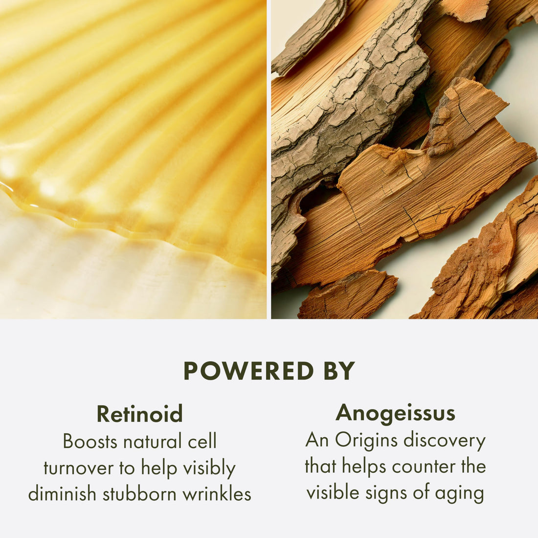 Origins Plantscription Anti-Aging Serum with Retinoid | Visibly Reduces Stubborn Wrinkles | With Retinoid & Peptide | Gentle Enough for First Time Retinoid Users, 1.6 Fl Oz