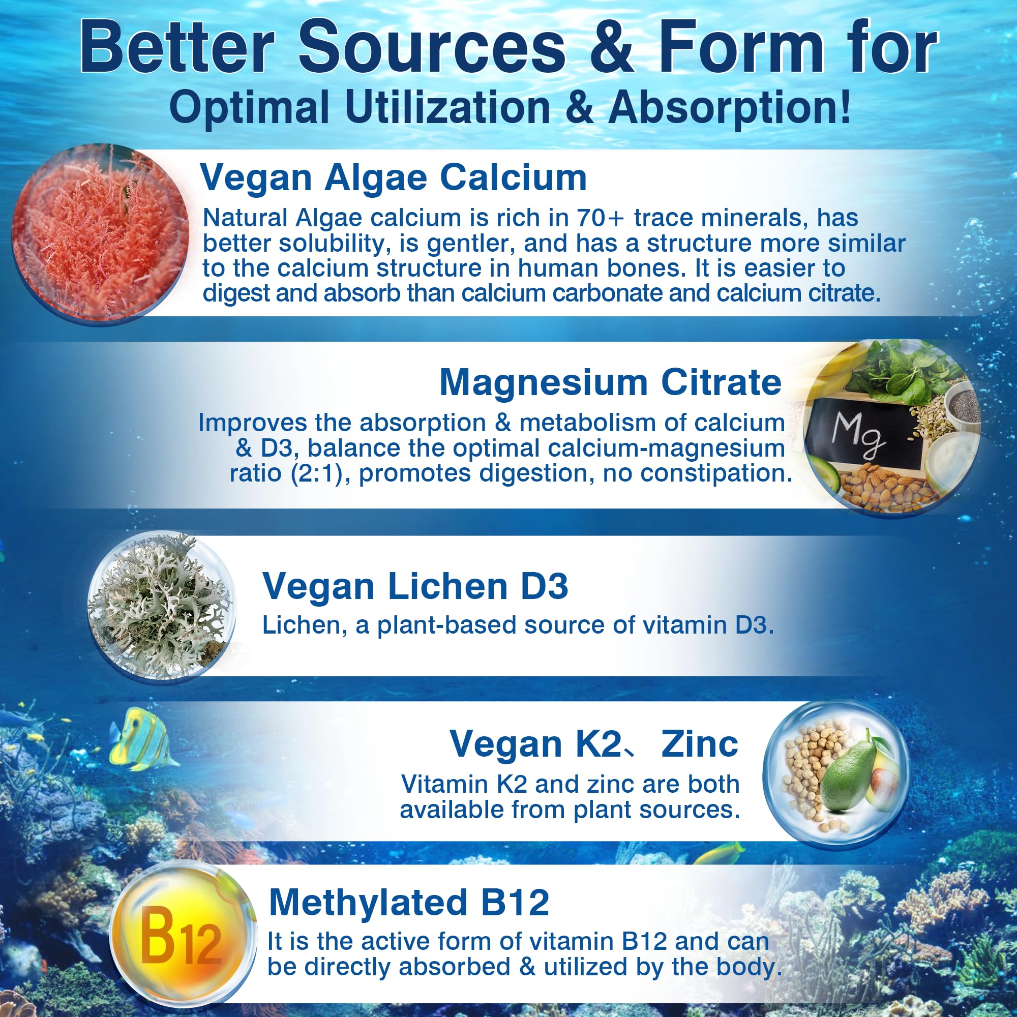 LILICARE 6-in-1 Liposomal Vitamin D3 K2 Calcium Supplement - Plant Based Calcium 600mg with Vegan Vitamin D 5000 IU + Vitamin K2 MK7 + B12, Algae Magnesium Zinc for Bone, Max Absorption - Pack of 1