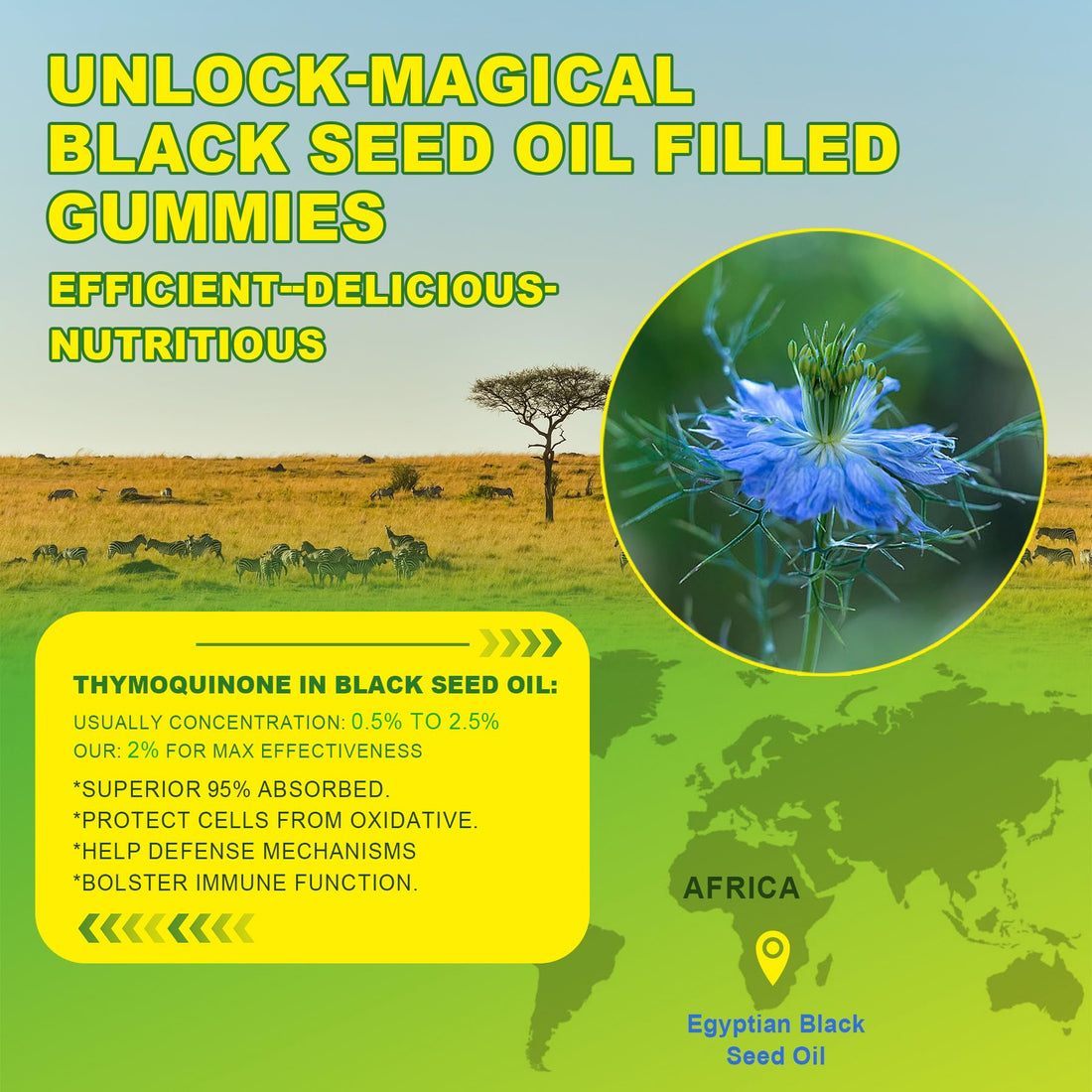 Black Seed Oil Gummies & Chlorophyll, Biotin 500mcg with Hydrolyzed Collagen, Raw Manuka Honey, Organic Cold Pressed - Ultimate Absorption for Skin, Hair & Nails, Digestive, Overall Health, Sugar Free