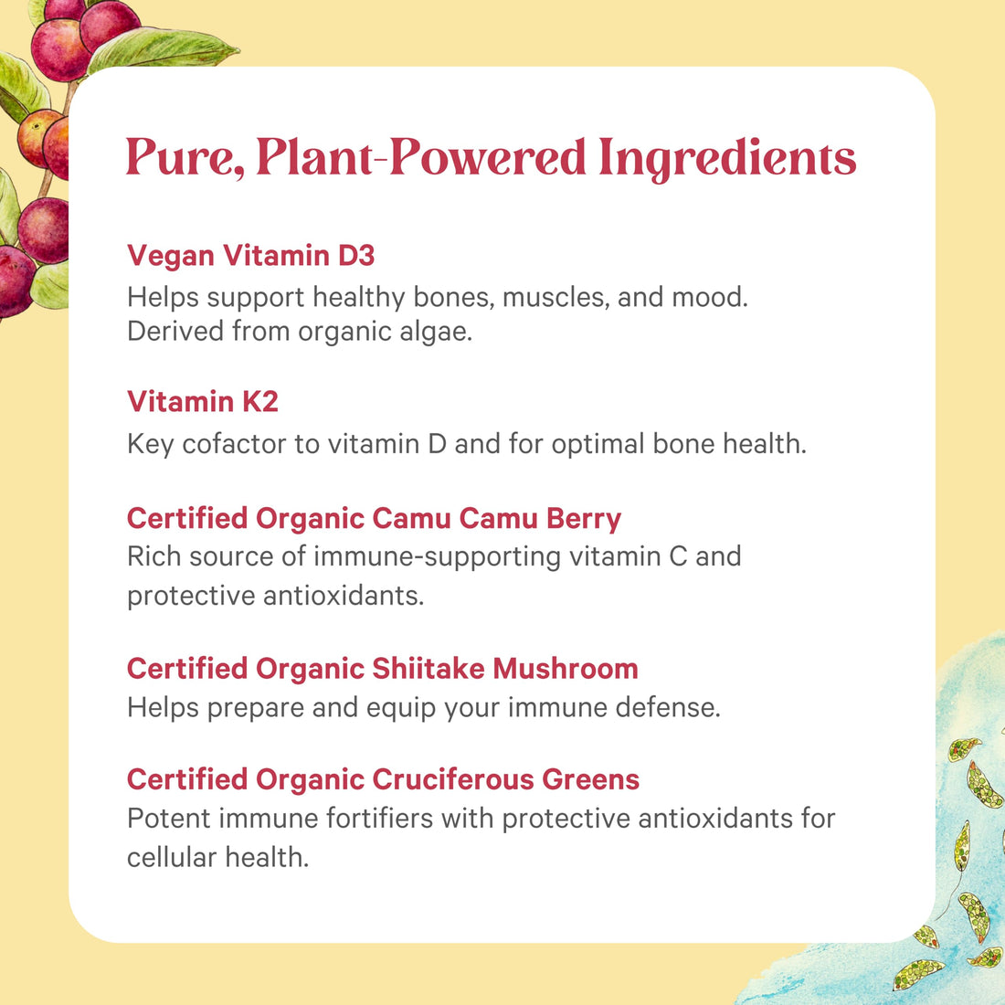 PURE SYNERGY D3 + K2 Complex | Vegan Vitamin D3 K2 Complex | Organic Vitamin D3 Supplement with Vitamin K2 and K1 Plus Organic Whole Foods | Supports Bone, Brain, and Immune Health (60 Capsules)