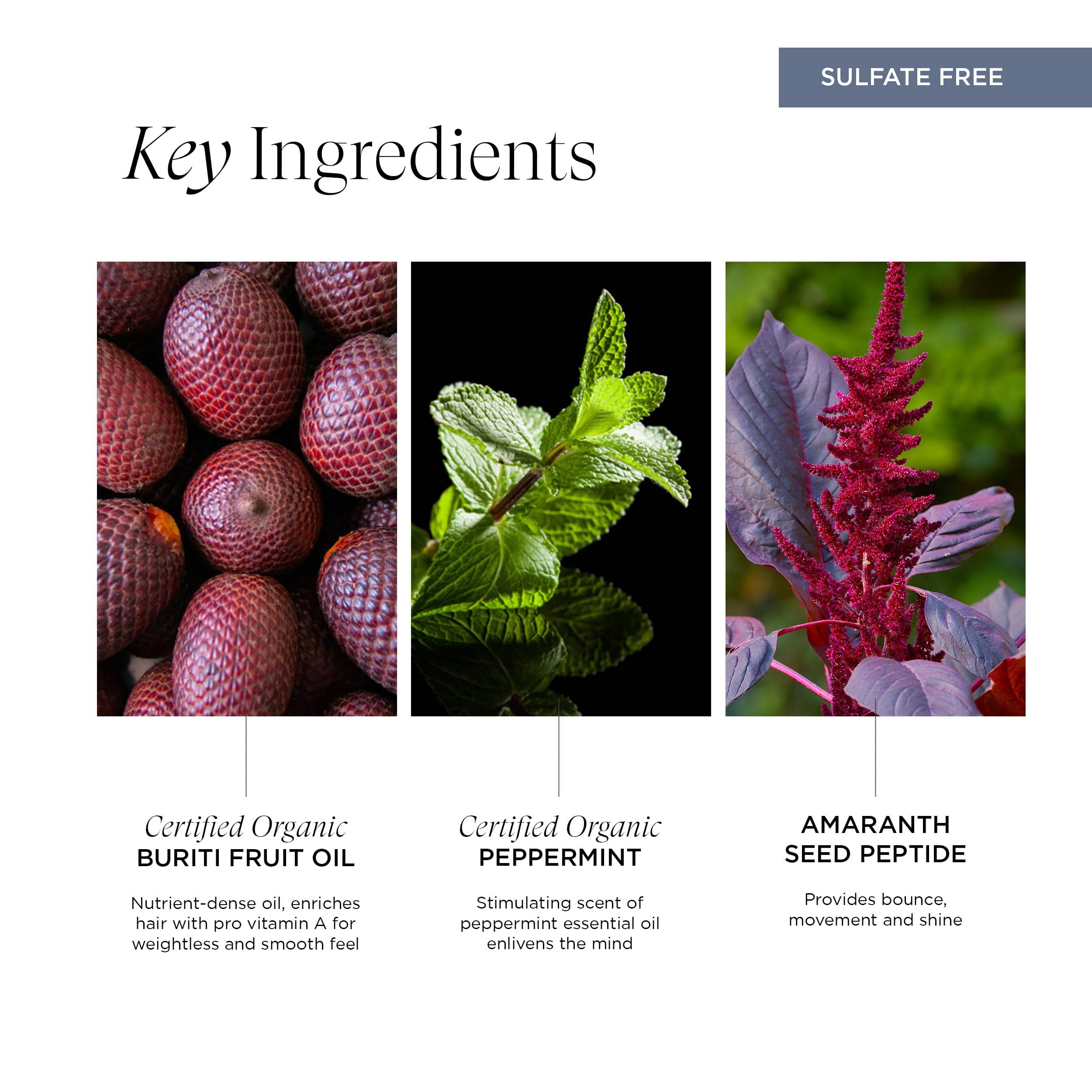 Intelligent Nutrients InspiraMint Shampoo, Invigorating Organic Mint Daily Shampoo for Fine and Oily Hair, Balancing, Refreshing, Color-Safe, Vegan, 8.5 Fl Oz