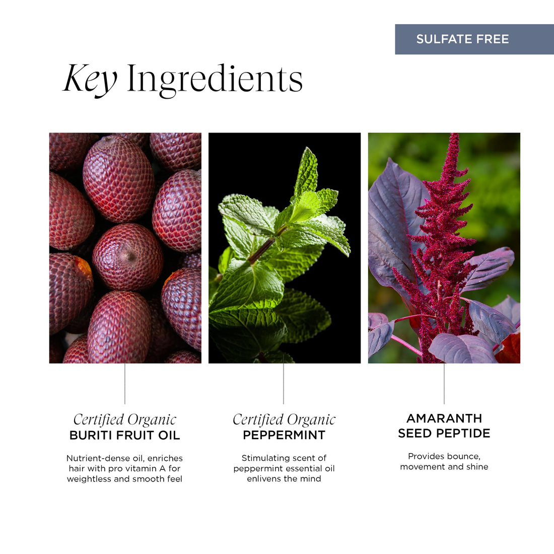 Intelligent Nutrients InspiraMint Shampoo, Invigorating Organic Mint Daily Shampoo for Fine and Oily Hair, Balancing, Refreshing, Color-Safe, Vegan, 8.5 Fl Oz