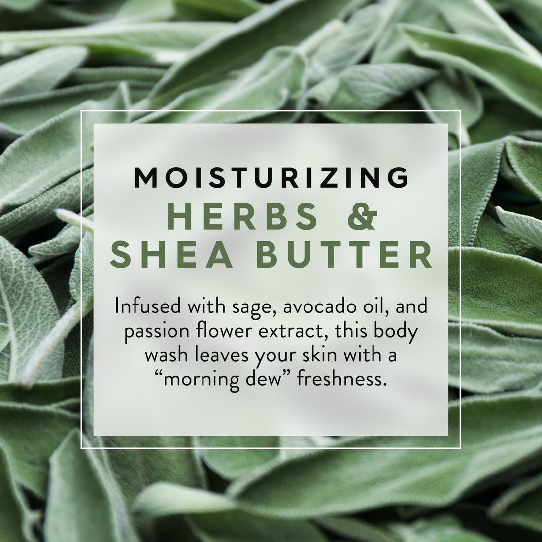 Jason 30 oz Moisturizing Herbs Pure Natural Body Wash