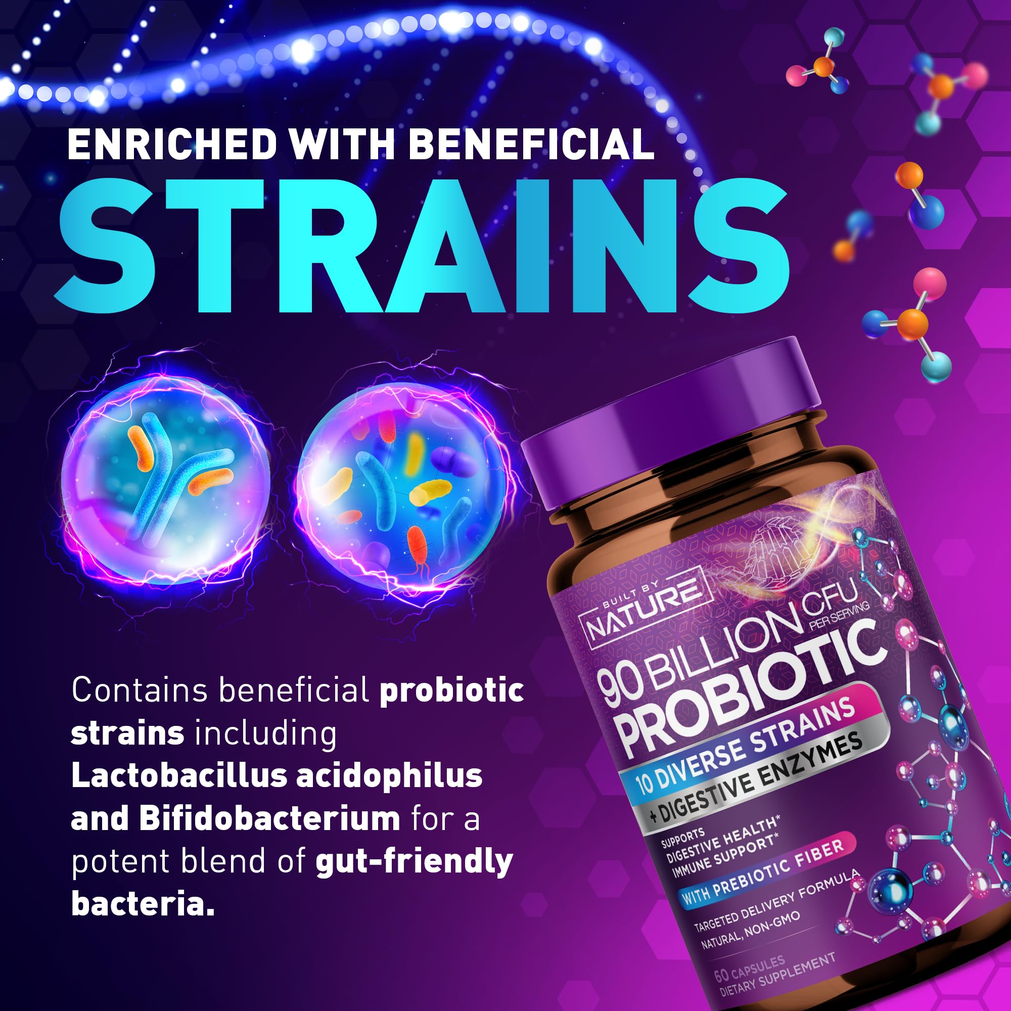 90 Billion CFU Probiotic - Daily Digestive Gut Health Supplement for Men & Women - Lactobacillus acidophilus, Bifidobacterium & Prebiotics - Non-GMO, Gluten & Dairy Free, Shelf-Stable - 60 Capsules