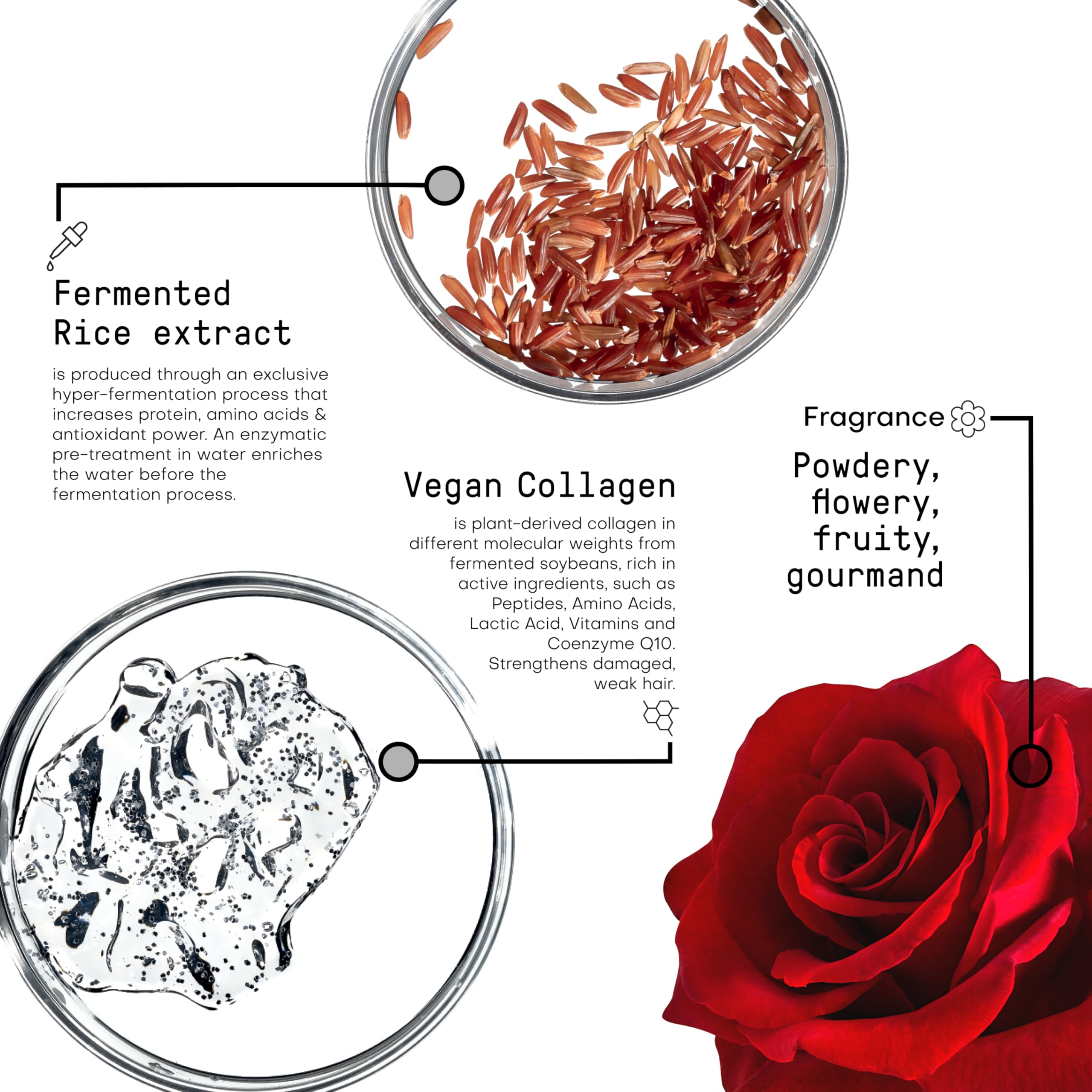 FRAMESI Morphosis Restructure Hair Beauty Elixir 5.1 fl oz, 5-Minute Weightless Mask, Repairing Conditioner, Natural Ingredients, Color Safe