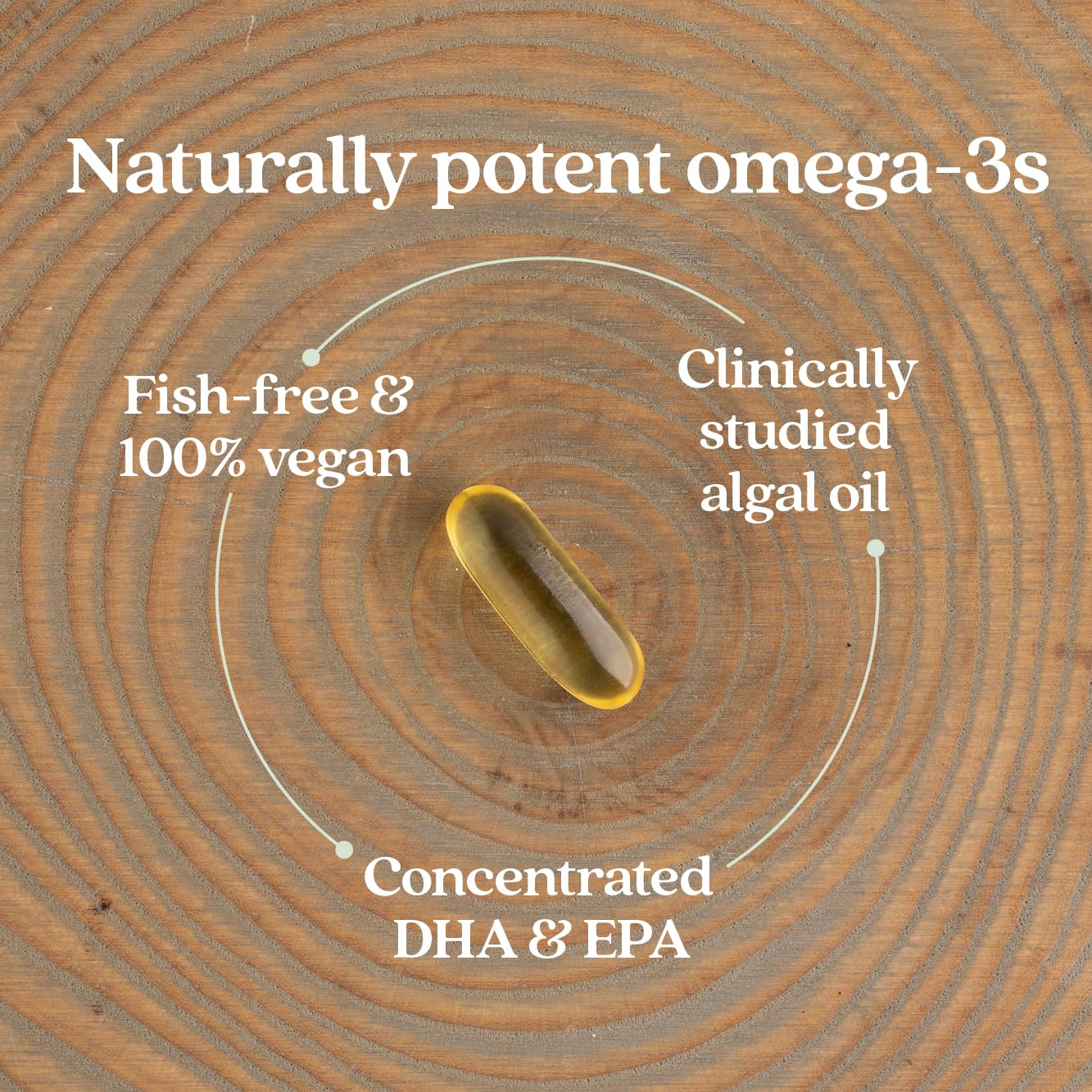 New Chapter Vegan DHA, EPA, and DPA Supplement- Vegan Omega-3 Complex for Heart, Brain, Eye & Joint Support - 30 Softgels