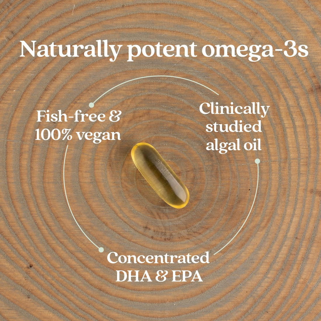 New Chapter Vegan DHA, EPA, and DPA Supplement- Vegan Omega-3 Complex for Heart, Brain, Eye & Joint Support - 30 Softgels