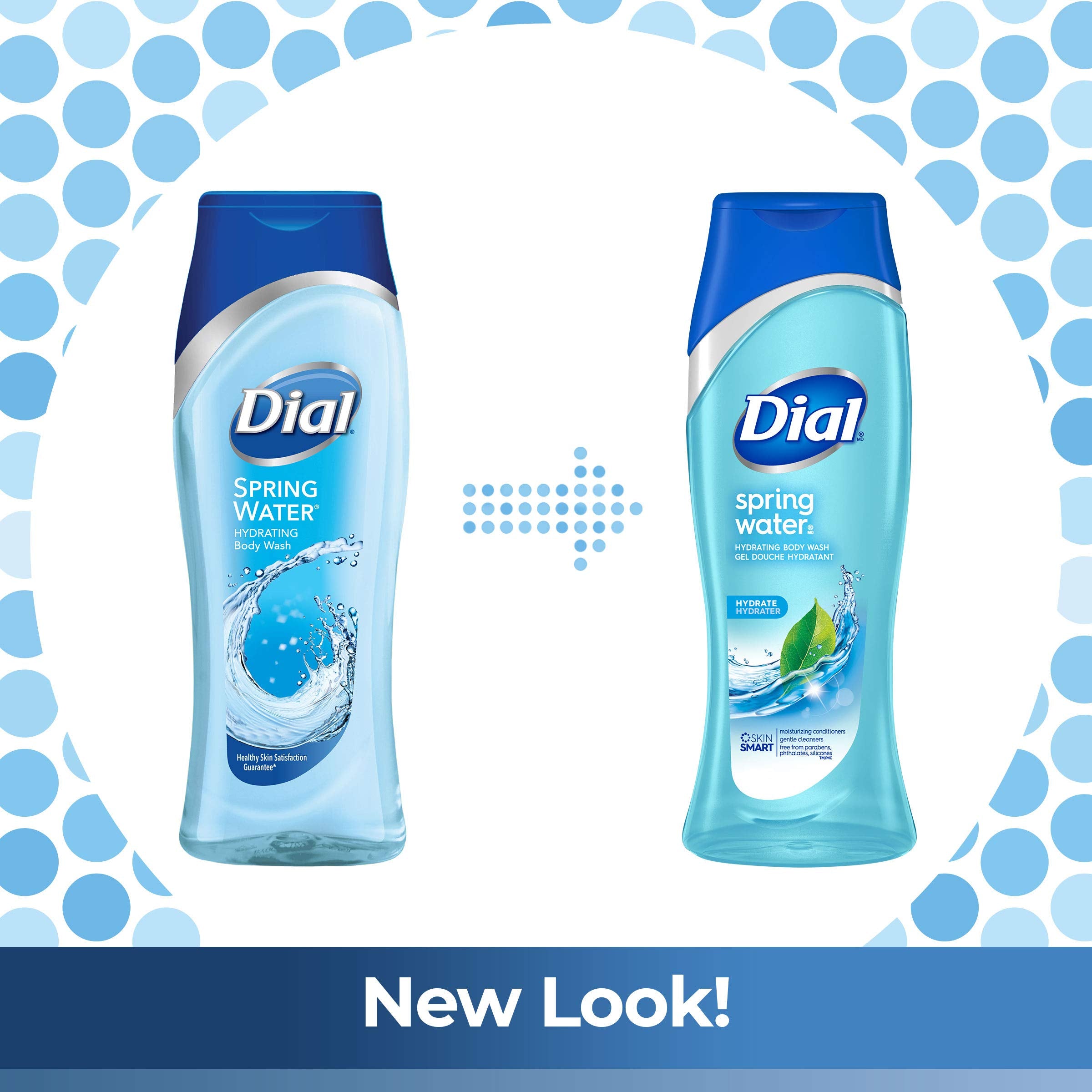 Dial Body Wash, Spring Water with All Day Freshness, 21-Fluid Ounces (Pack of 3)