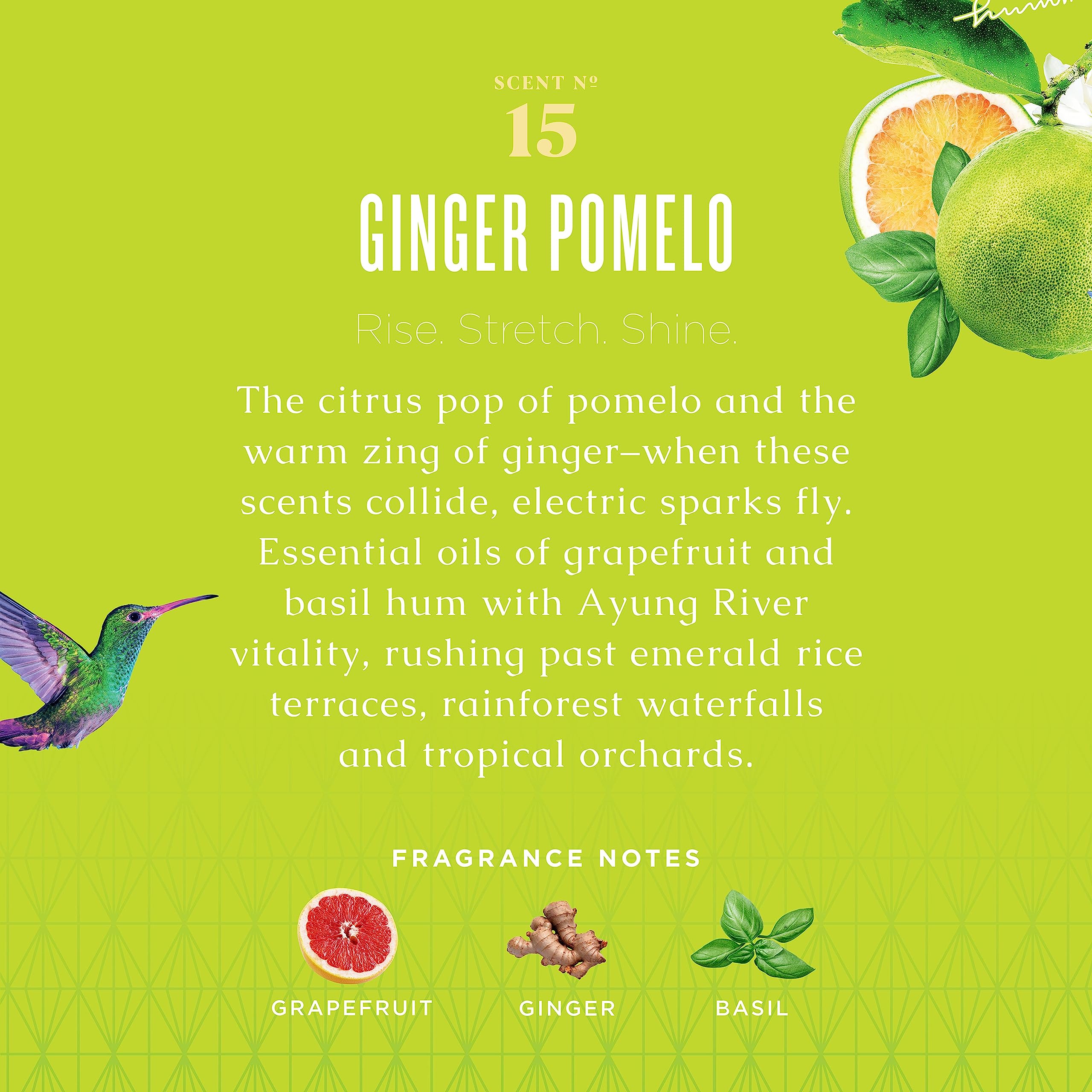 Caldrea Hand Wash Soap, Aloe Vera Gel, Olive Oil and Essential Oils to Cleanse and Condition, Ginger Pomelo Scent, 10.8 oz