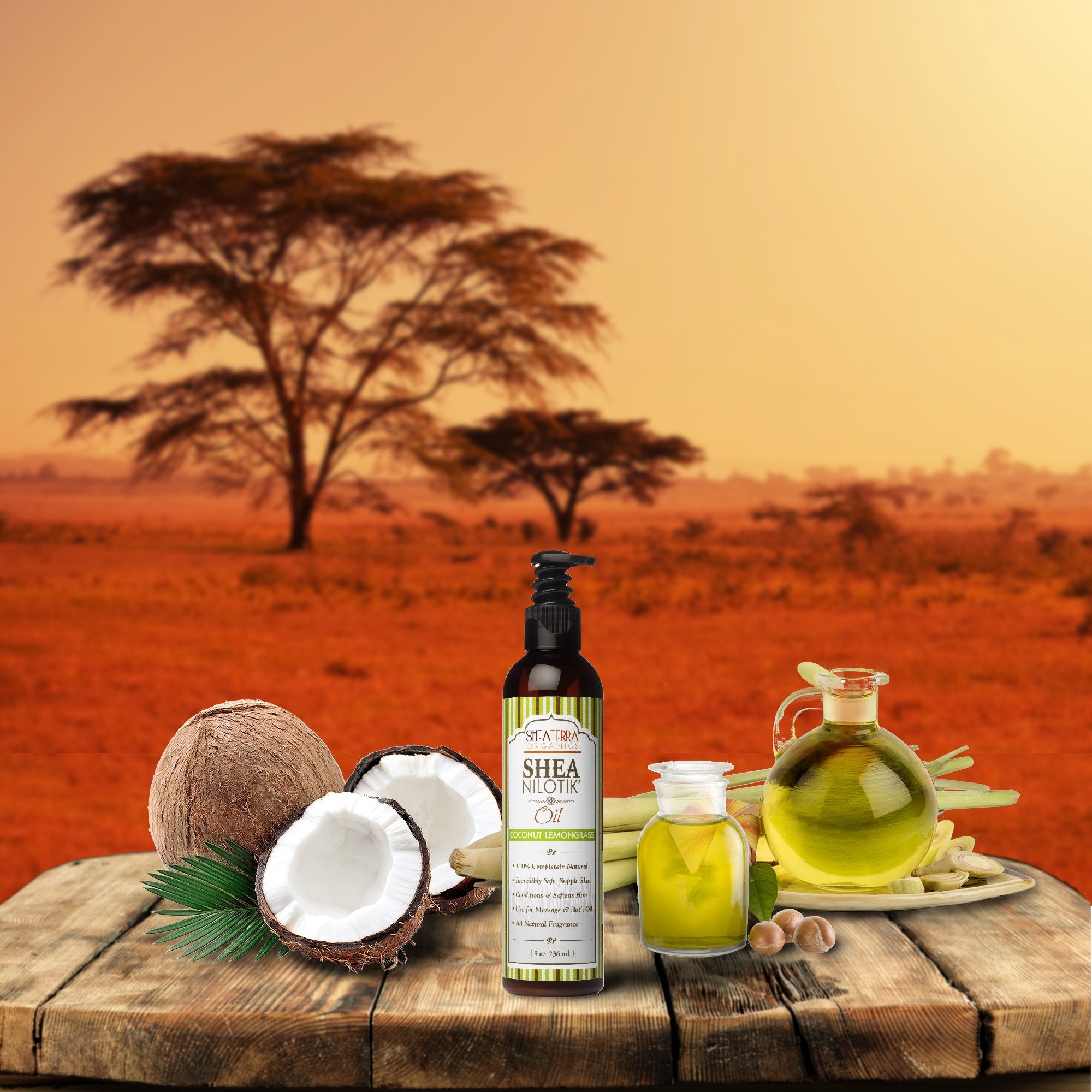 Shea Terra Organics Shea Nilotikââ‚¬â„¢ Oil Scented With Coconut Lemongrass | Natural Daily Skin Moisturizer & Conditioner - 8 oz