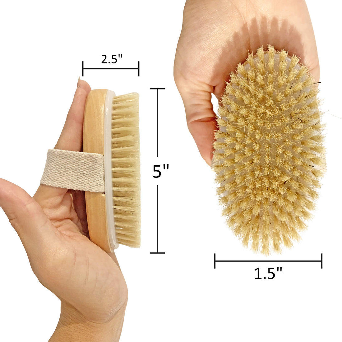 Spiffy Skin Wet and Dry Body Brush Exfoliator - Medium Soft Natural Bristle - Exfoliates Dead Skin - Slows Aging - Reduces Cellulite - Stimulates Lymph and Blood Flow and increases Energy