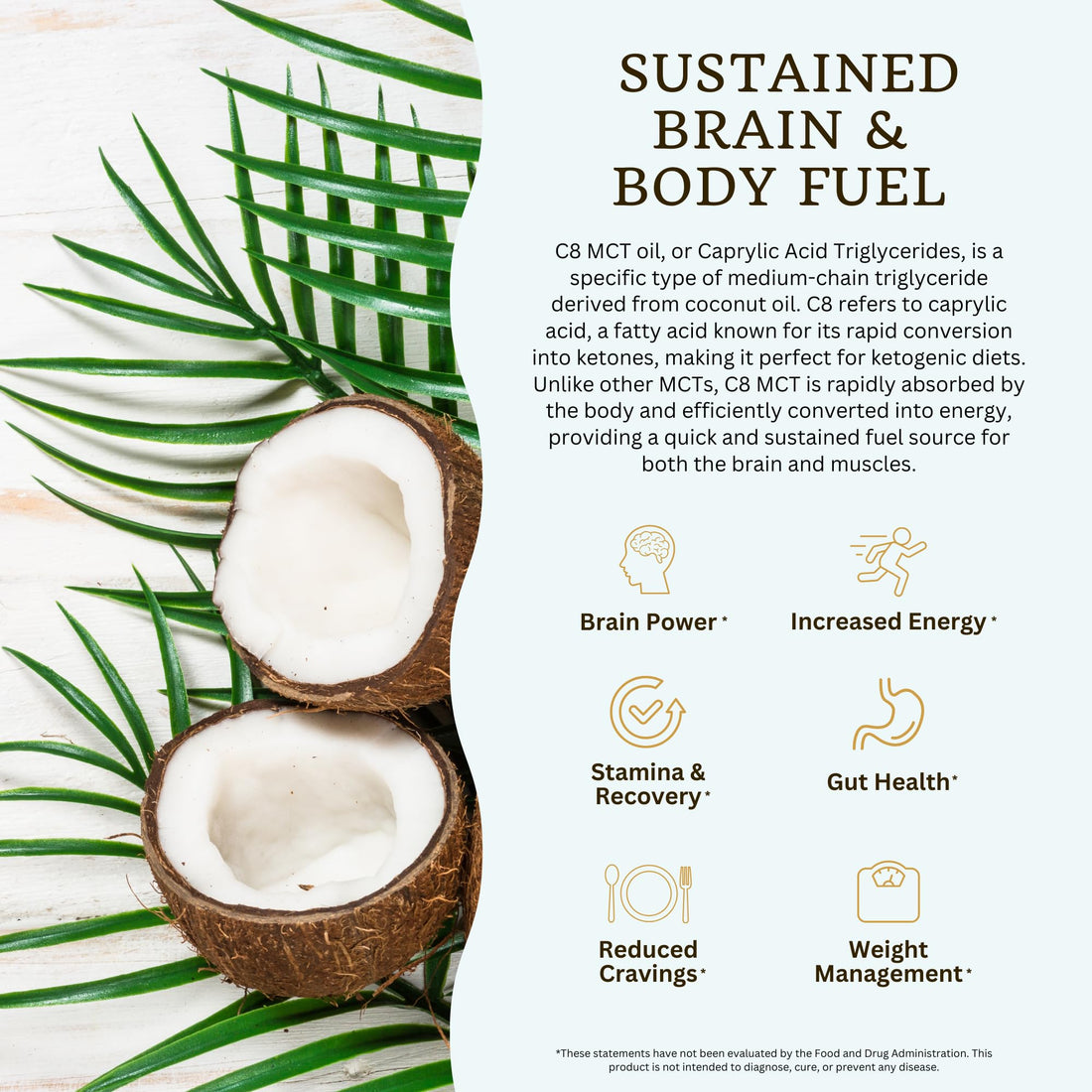 VTC VitaTradingCo. 100% Pure C8 MCT Oil | 3X Distilled Caprylic Acid | Healthy Fat for Clean Energy | Sustainably Sourced | Non-GMO, Paleo, Keto | 32oz, 64 Servings (Unflavored)