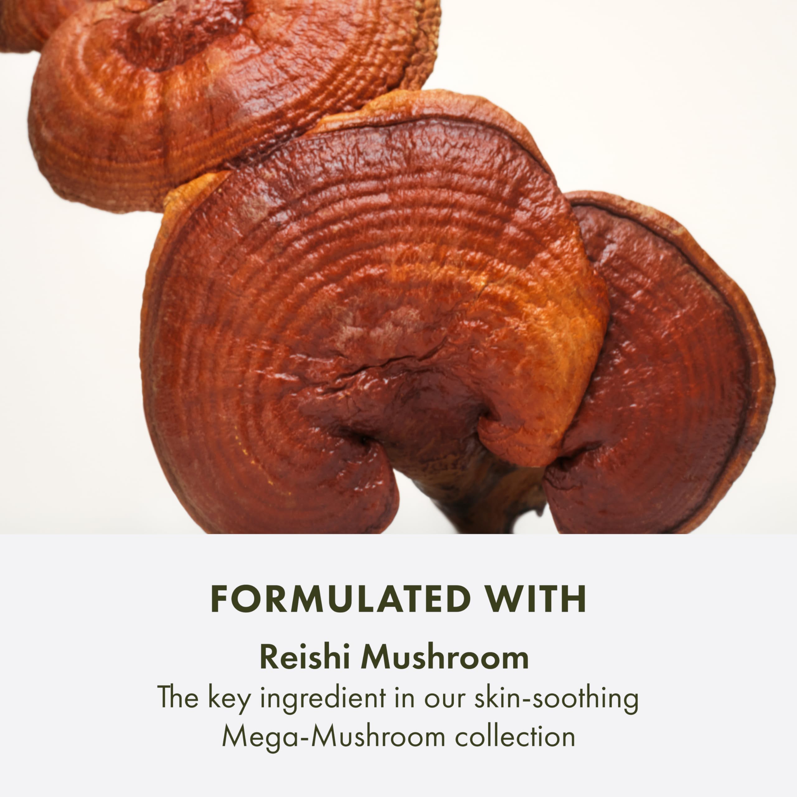 Origins Mega-Mushroom Micellar Cleanser | For Sensitive Skin | With Reishi Mushroom, 6.7 Fl Oz