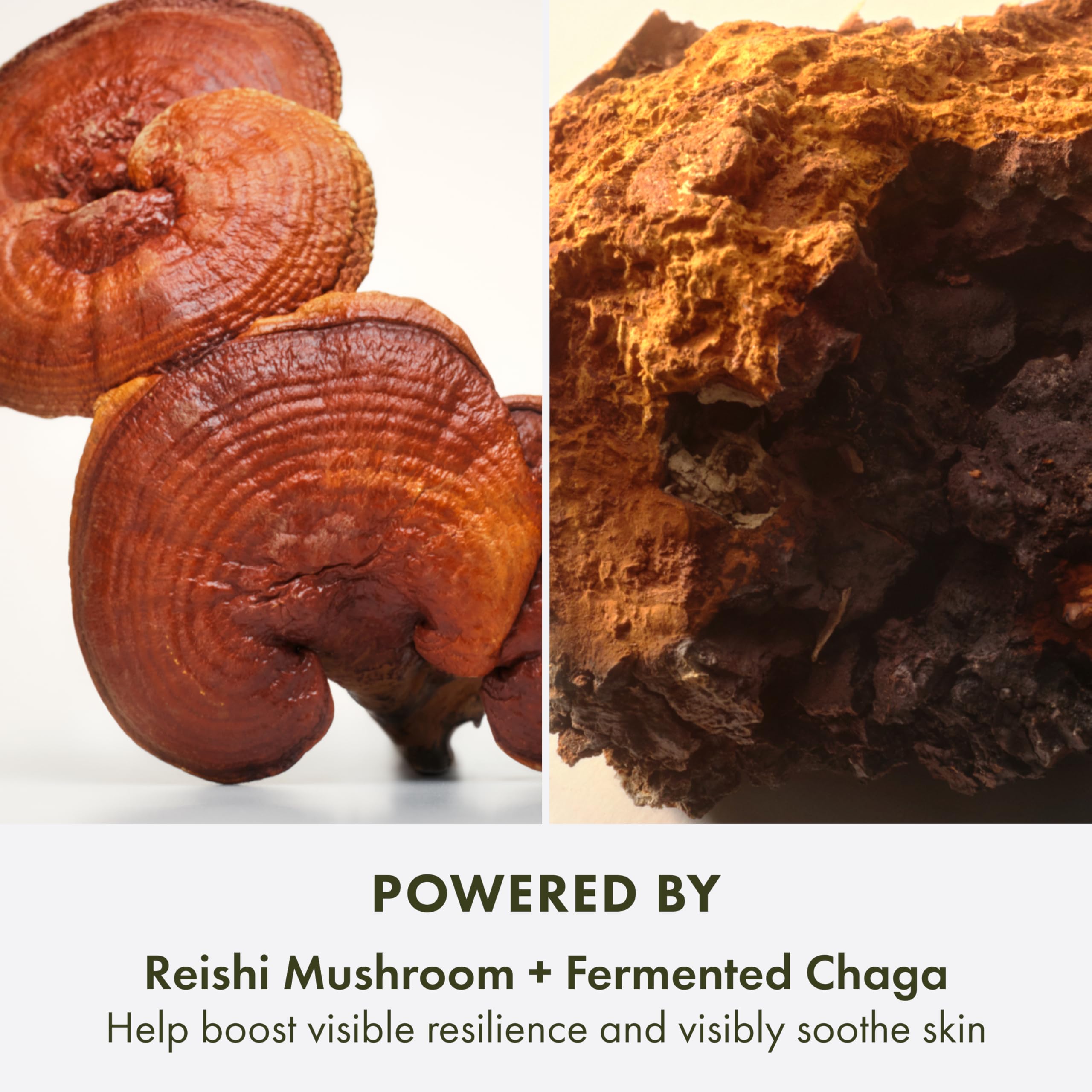 Origins Mega-Mushroom Hydra Burst Lightweight Moisturizer | Reduces Visible Redness | With Niacinamide & Reishi Mushroom, 1.7 Fl Oz