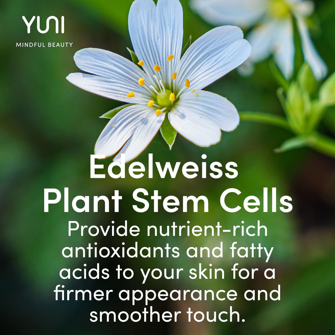 Yuni Active Calm Firming Facial Skin Moisturizer, 2 Fl. Oz.