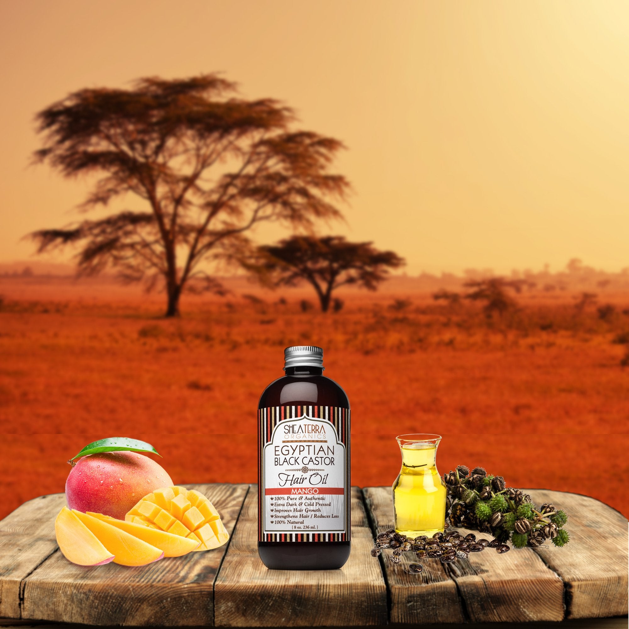 Shea Terra Organics 100 Percent Pure Egyptian Black Castor Extra Virgin Oil ââ‚¬â€œ Mango| All-Natural Strengthening and Conditioning Hair Oil for Healthy Hair Growth and Scalpââ‚¬â€œ 8 oz