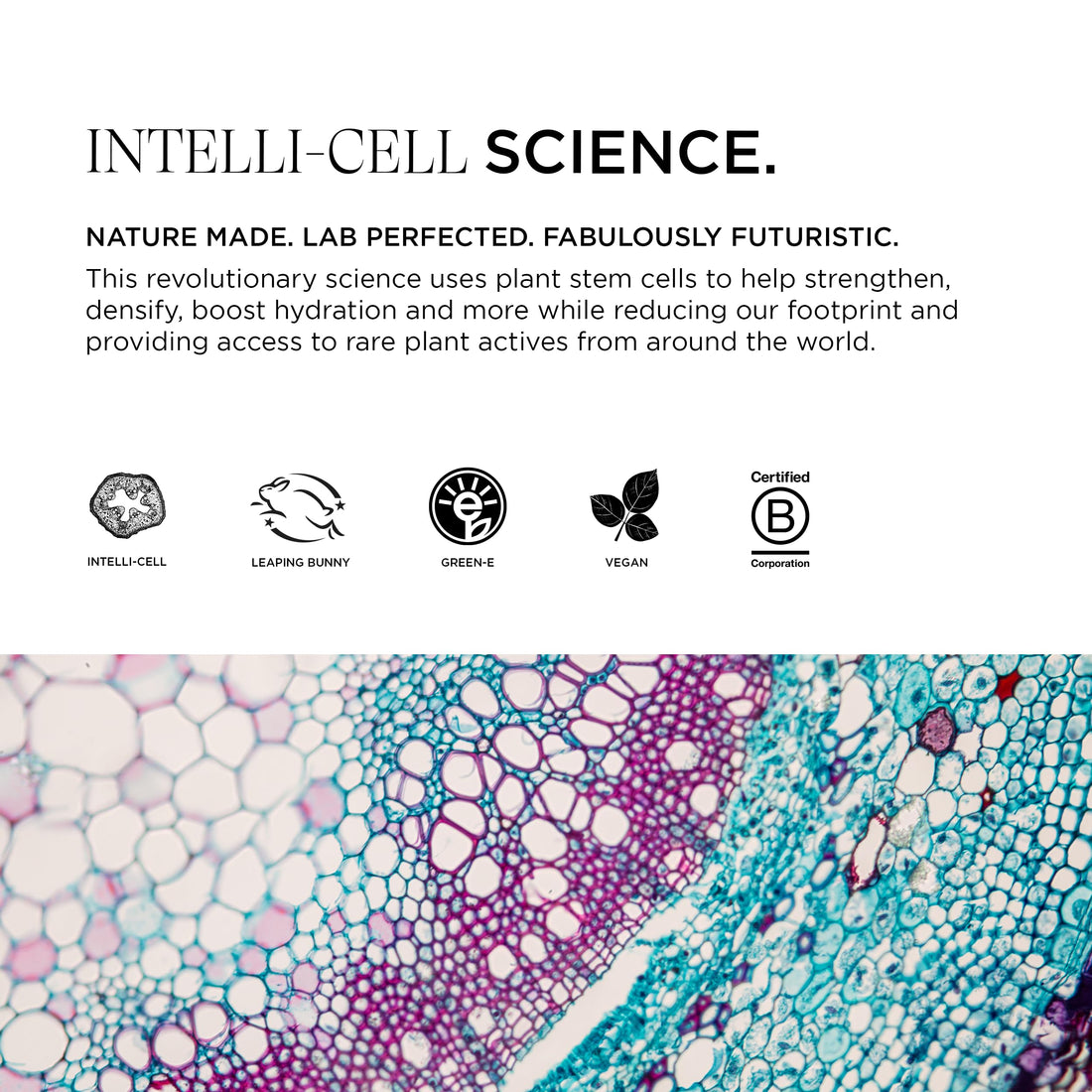 Intelligent Nutrients Pure Plenty Shampoo, Clarifies and Fortifies Fine, Thinning Hair, Organic Scalp-Stimulating Formula, Vegan, 8.5 Oz