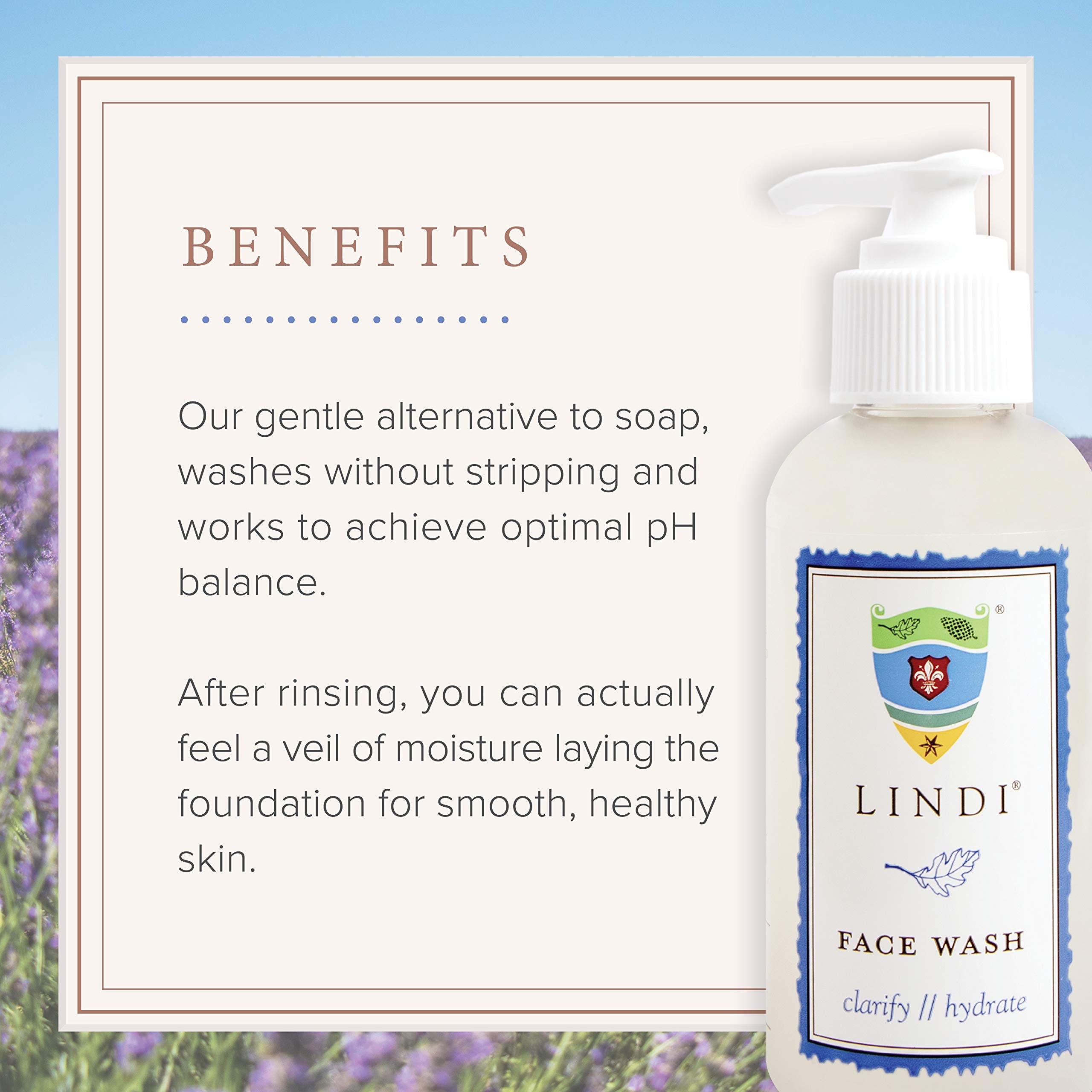 Lindi Skin Face Wash, 4 Ounce