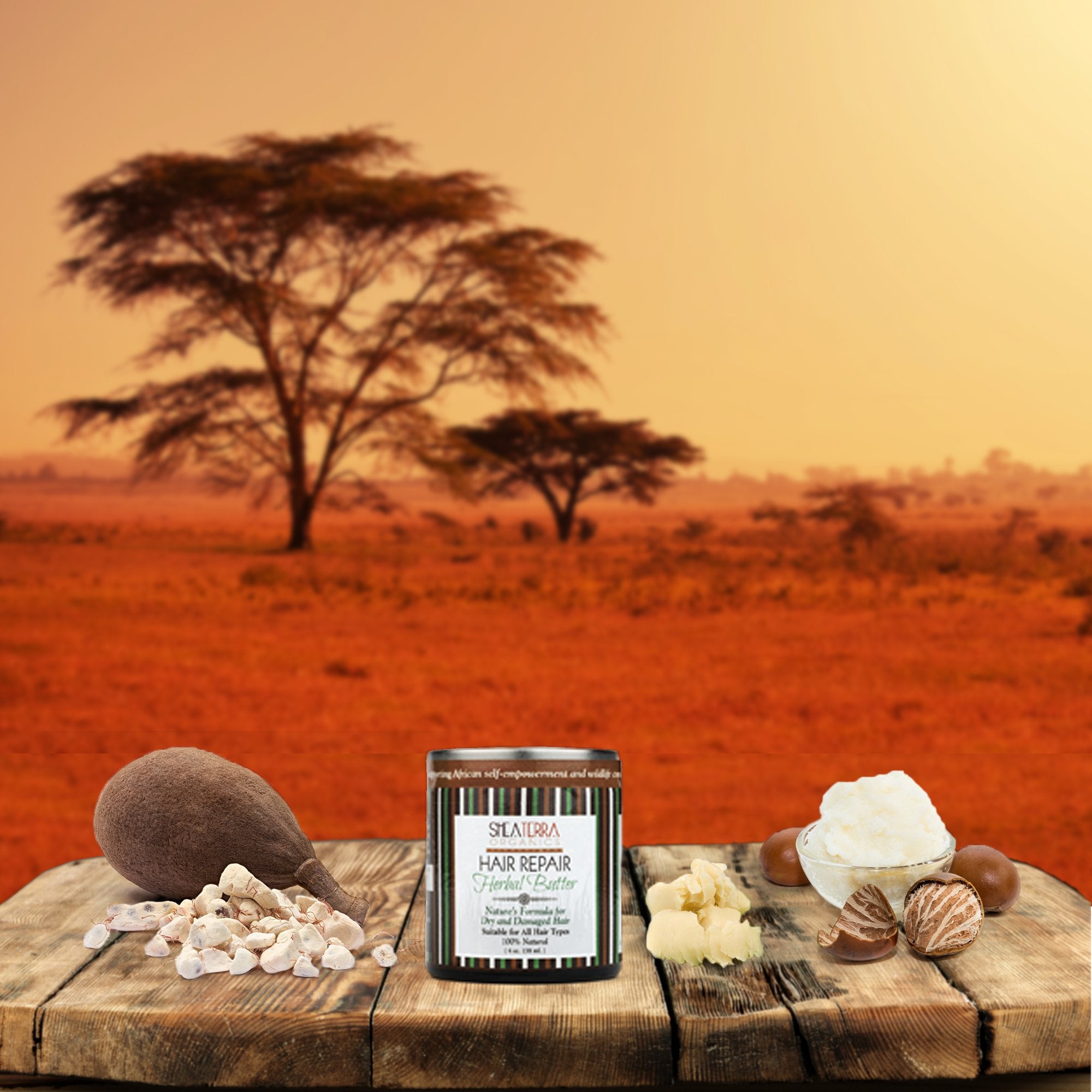 Shea Terra Organics Hair Repair Herbal Butter