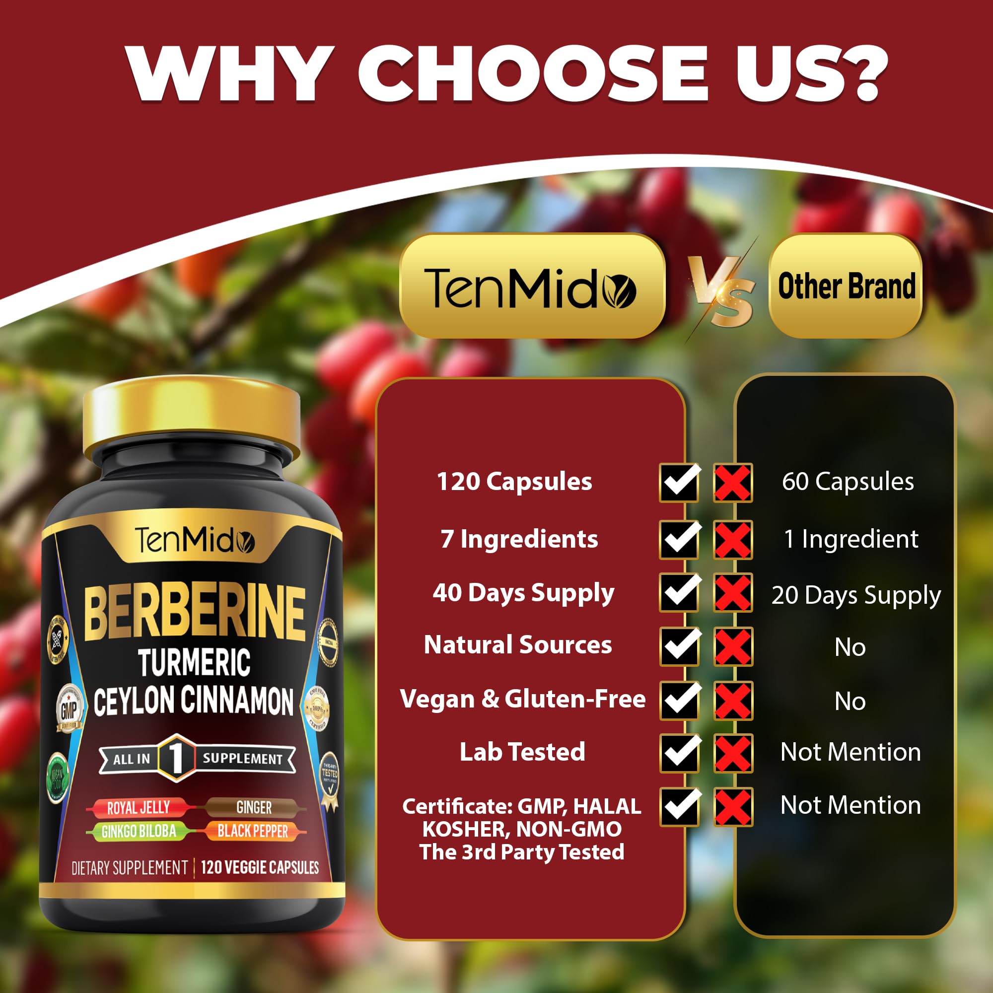 Tenmido Berberine Supplement - 7in1 Formula - Combine with Turmeric, Royal Jelly, Ceylon Cinnamon, Ginkgo Biloba, Ginger & Black Pepper - Digestive Health, Immune Support - 120 Capsules