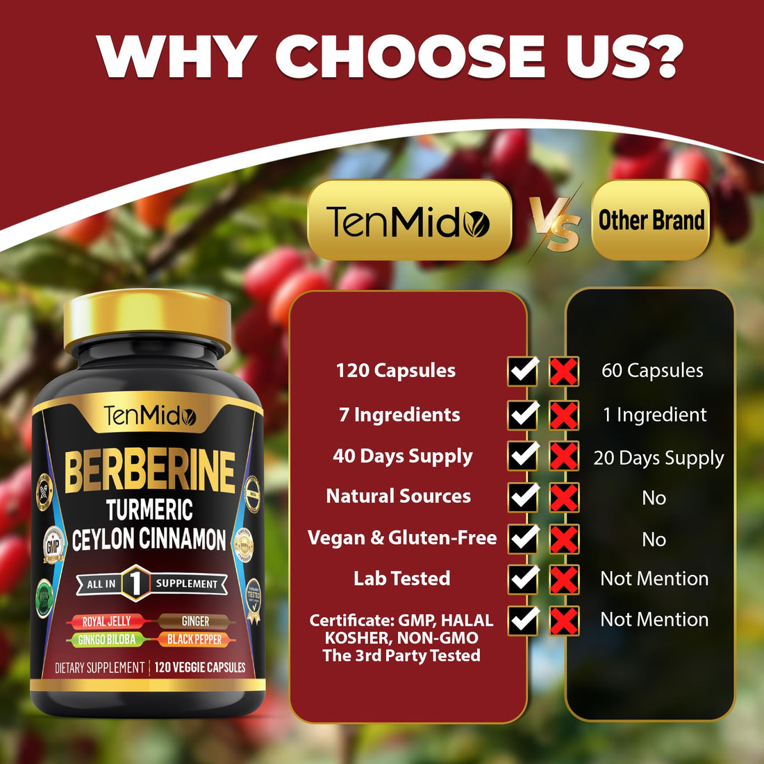 Tenmido Berberine Supplement - 7in1 Formula - Combine with Turmeric, Royal Jelly, Ceylon Cinnamon, Ginkgo Biloba, Ginger & Black Pepper - Digestive Health, Immune Support - 120 Capsules