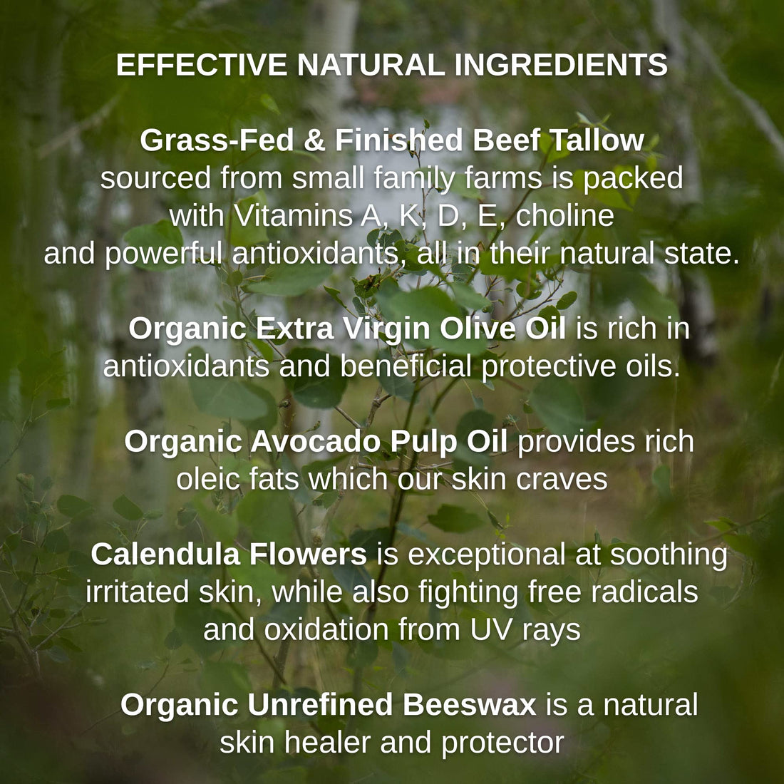 Shwally Tallow & Calendula Face & Body Balm - Paleo & Primal Tallow Moisturizer - 100% Grass Fed Tallow, Avocado & Olive Oils With Calendula Flowers - Rich in Vitamin A, K, D & E - All-Purpose Tallow