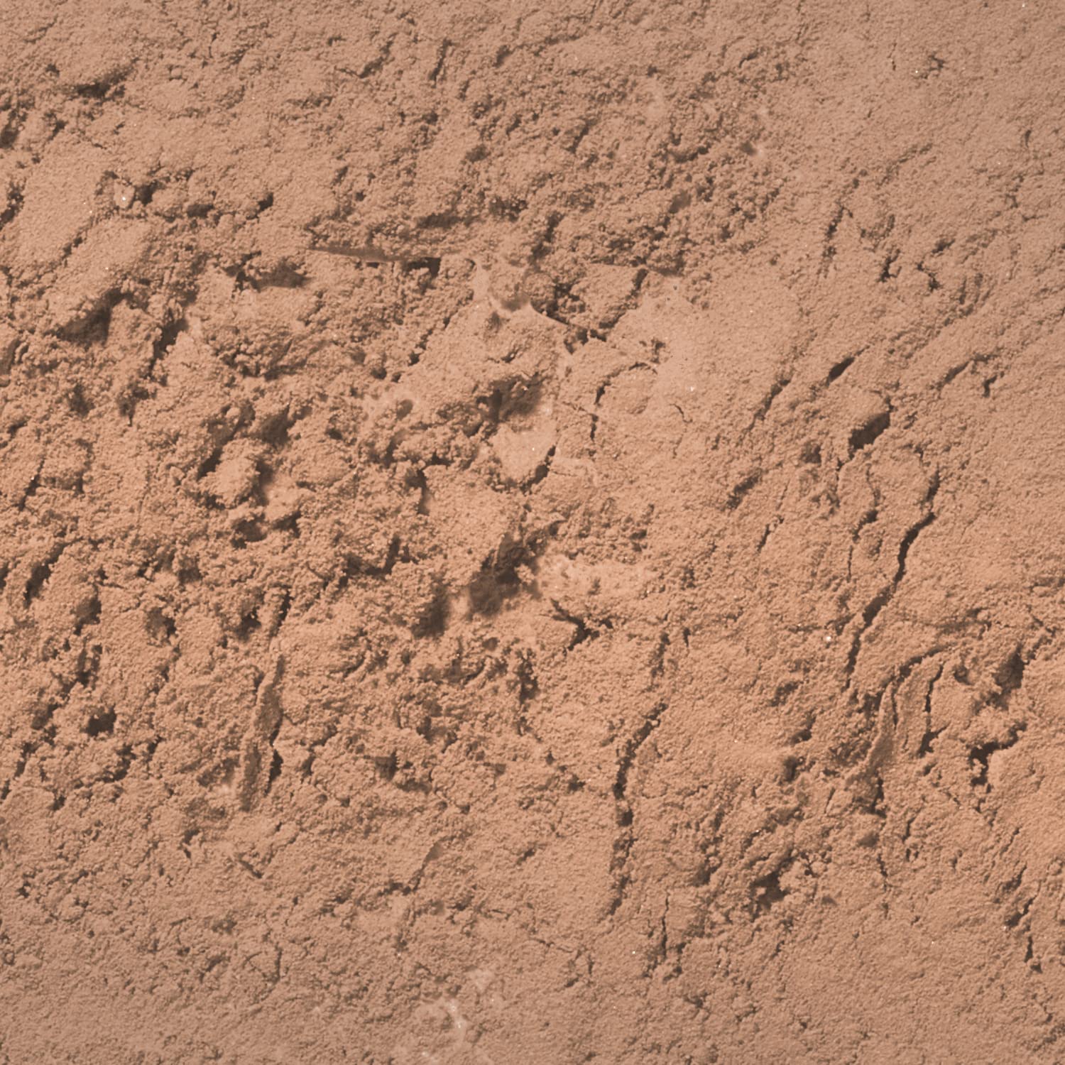 Palladio Brow Powder for Eyebrows, Taupe