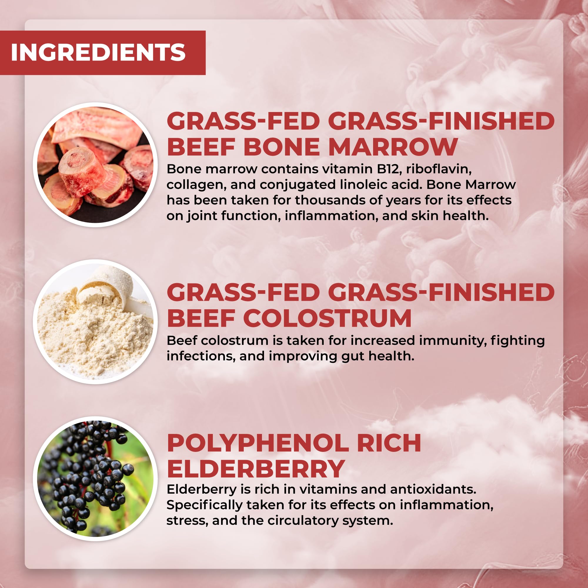 Santa Cruz Paleo Food of The Gods Grass Fed Beef Organ Supplement with Glucosamine, Bone Marrow, Beef Liver, Colostrum, Maca Root & Elderberry, Gluten Free, Keto, Sugar Free, Paleo, 30 Servings