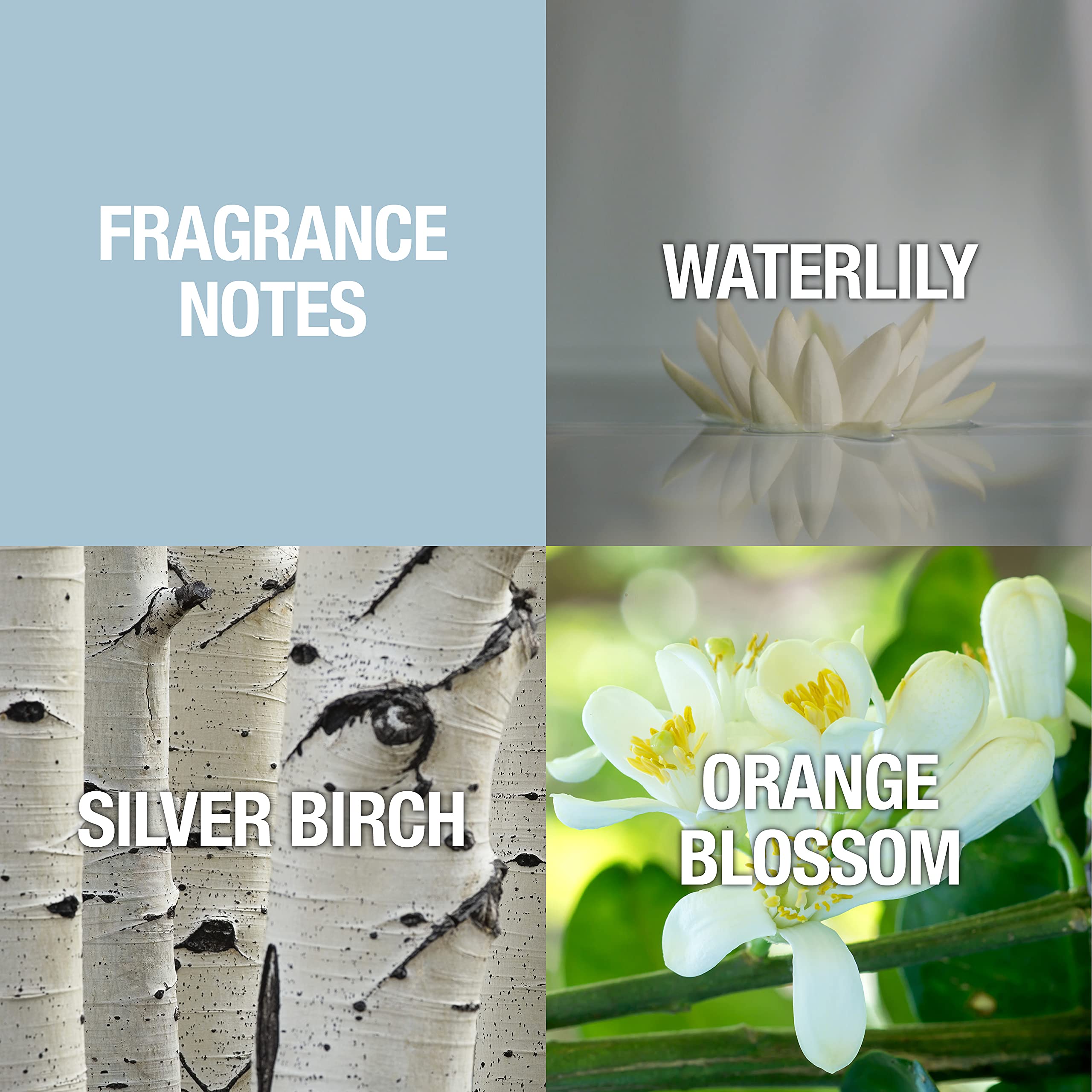 Shi By Alfred Sung For Women. Eau De Parfum Spray 1 Ounces