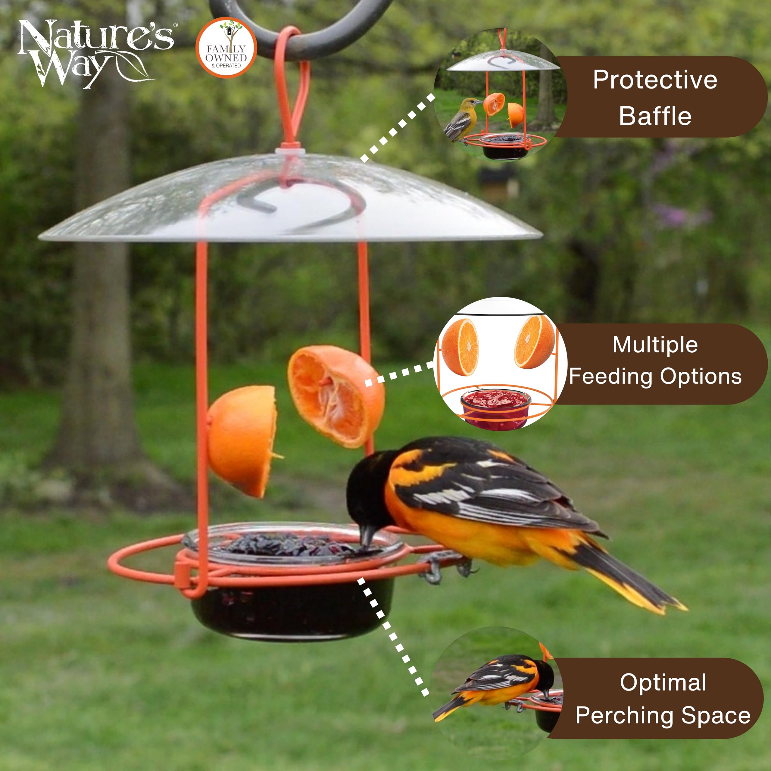 Nature's Way OFM1 Wire Oriole Feeder