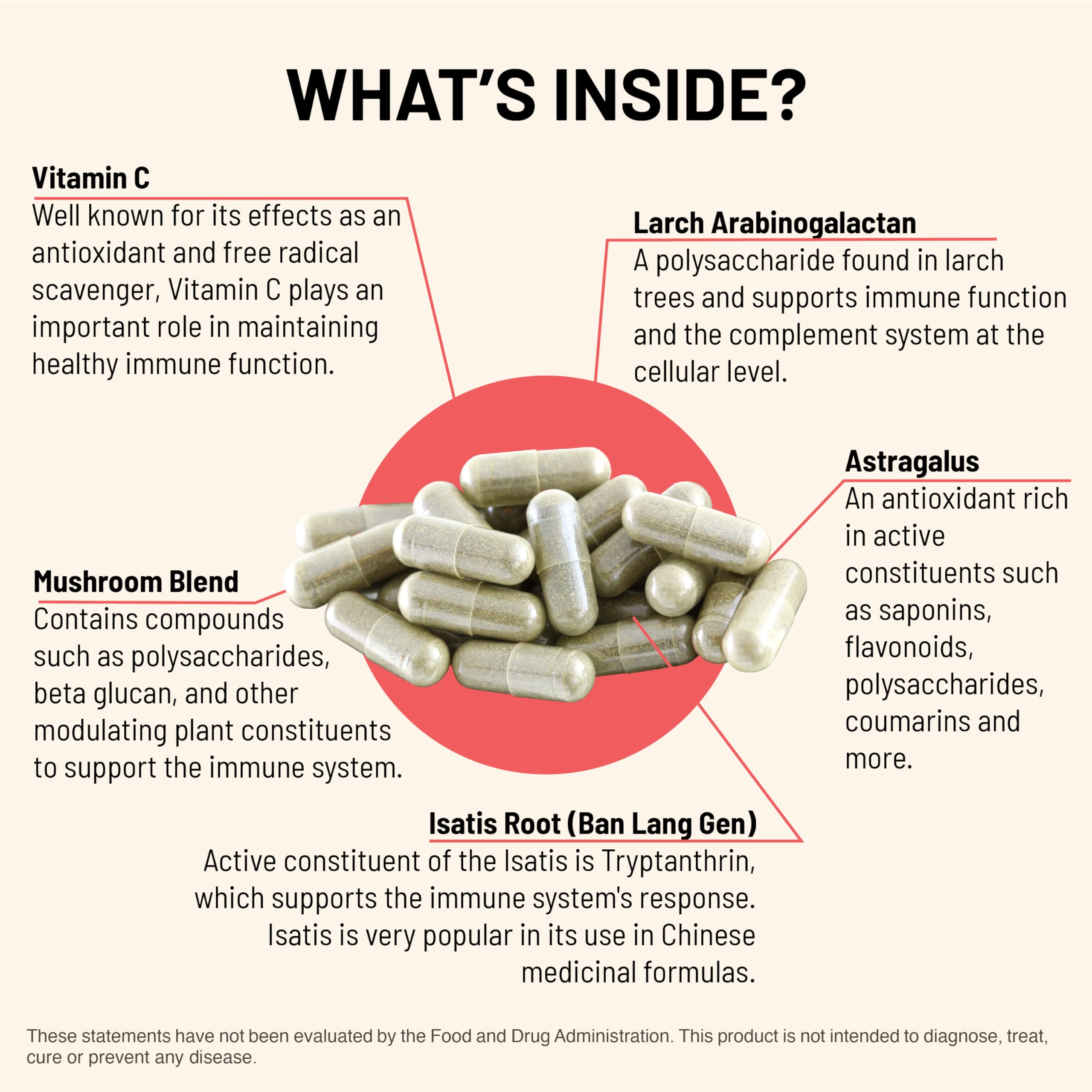 Mountain Peak Nutritionals Immuni-LT - Immune System & Whole Body Support Supplement - Power Packed Immune Booster, Dynamic Immune Defense with Essential Vitamins & Minerals (60 Vegetarian Capsules)