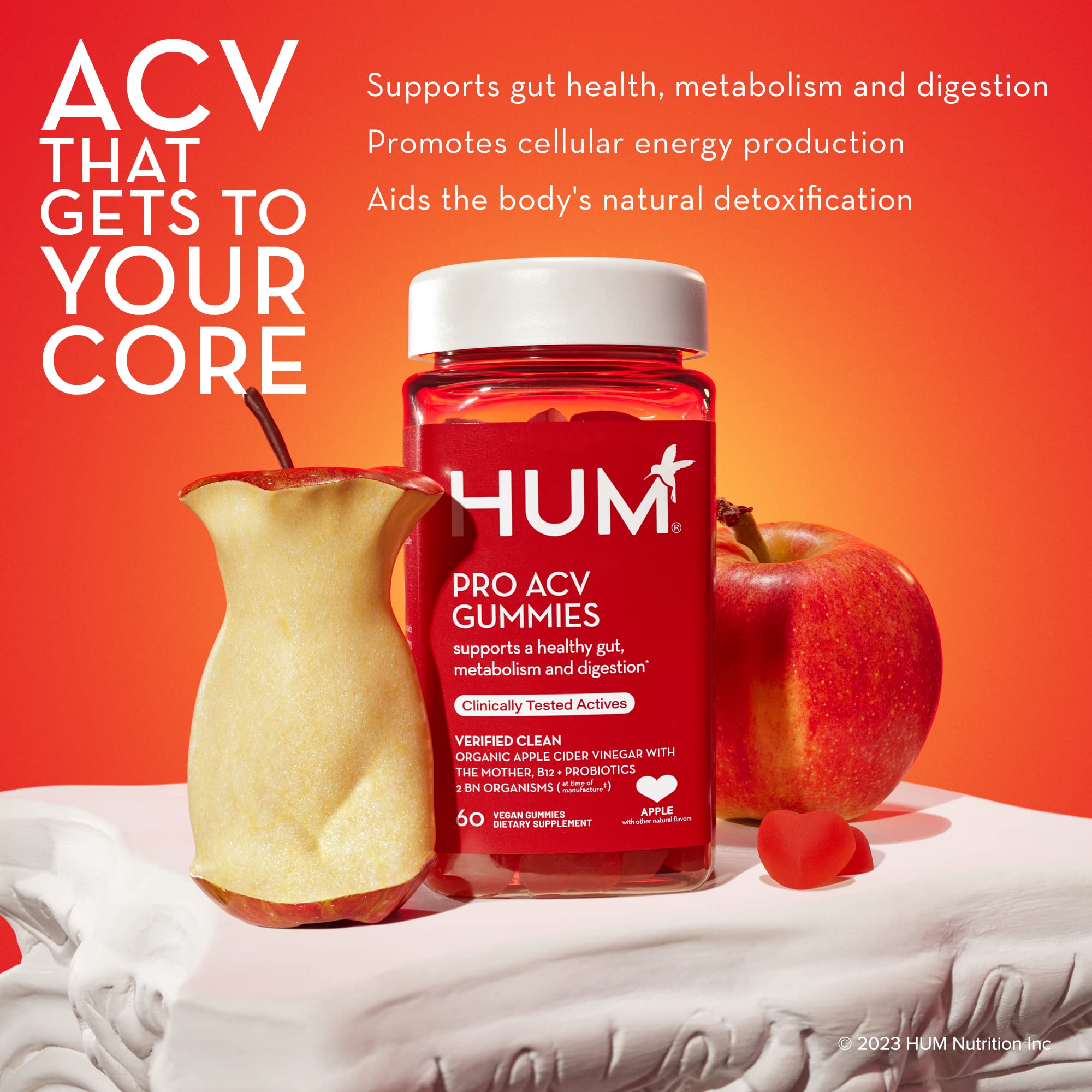 HUM Pro ACV Gummies -100% Organic Apple Cider Vinegar with The Mother, Probiotics for Digestive Health & B12 for Metabolism Support (60 Count)