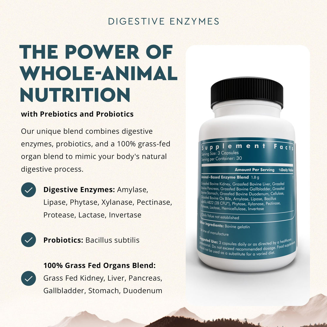 Ancestral Supplements Digestive Enzymes for Women & Men, 90 Capsules, with Probiotics and Grass Fed Beef Organs, Supports Gut Health, Digestive Health & Nutrient Absorption, Allergen Free, Non GMO