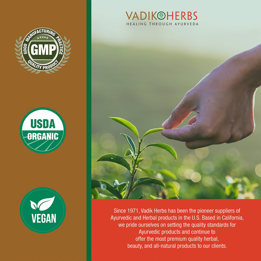 Vadik Herbs Amla Hair Oil, 8oz