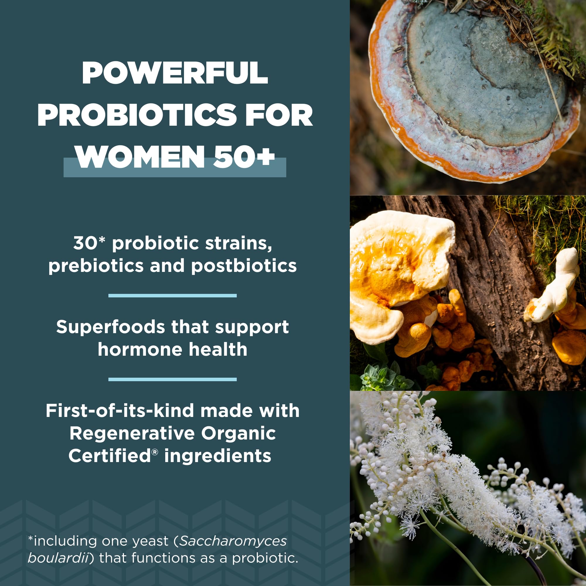 Ancient Nutrition Regenerative Organic Certified Probiotics for Women 50+, Probiotics Women’s 50+ Once Daily, Healthy Digestion and Immune System Support, 25 Billion CFUs* Per Serving, 30 Count