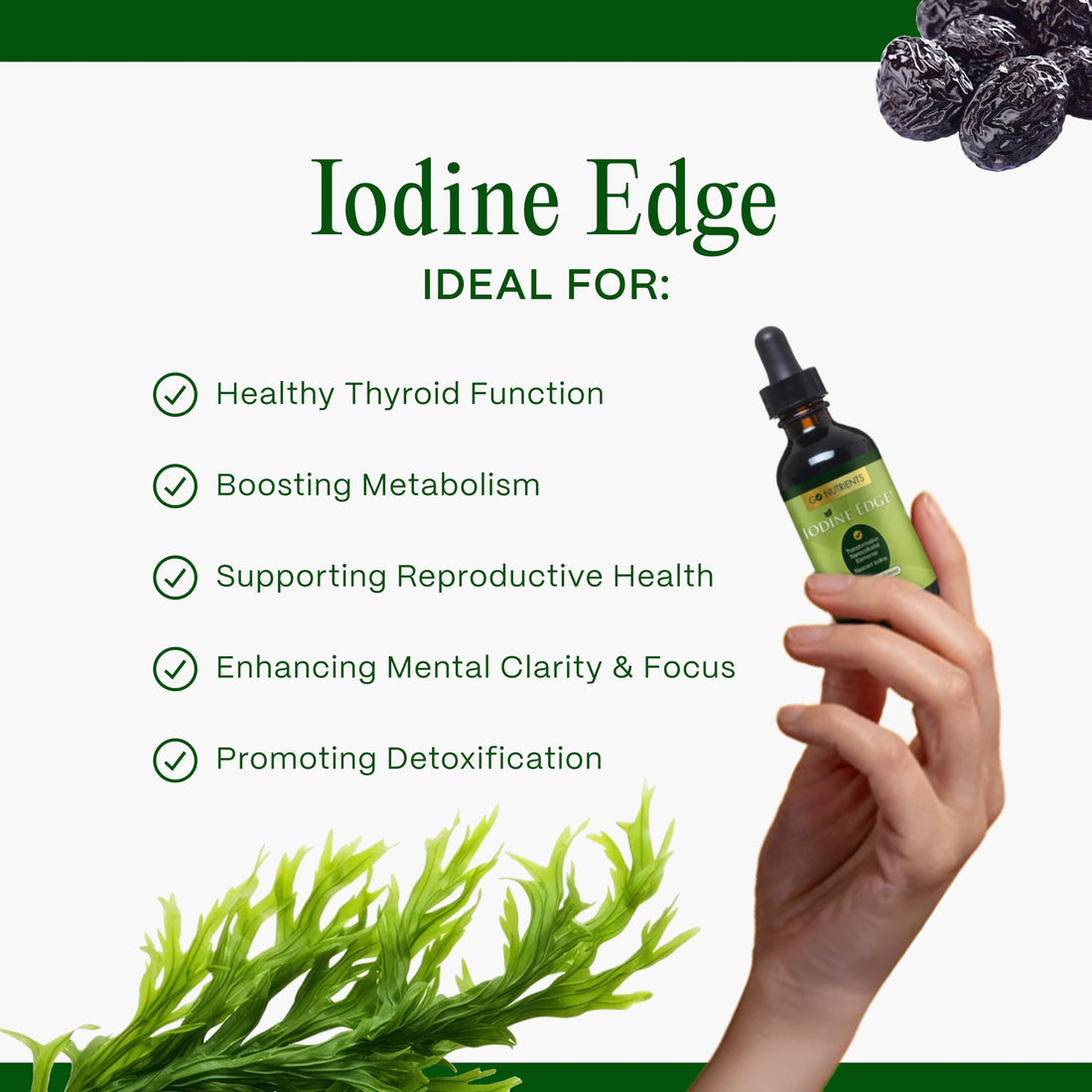 Go Nutrients Iodine Edge - Organic Nascent Iodine Supplement - Advanced Iodine Drops for Thyroid Support, Boosted Energy, Cognitive Function & Immunity - 1oz Fast Absorbing Liquid Formula, GMO-Free