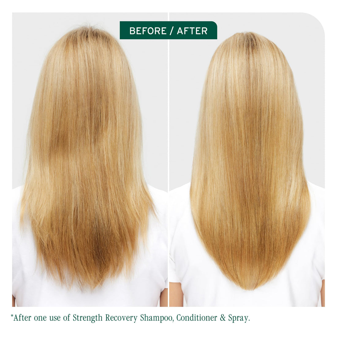 Biolage Strength Recovery Shampoo - Reduces Breakage & Detangles, For Damaged Hair, With Olive Squalane & Vegan Proteins, Paraben & Mineral Oil-Free 13.5 Fl Oz, Packaging May Vary