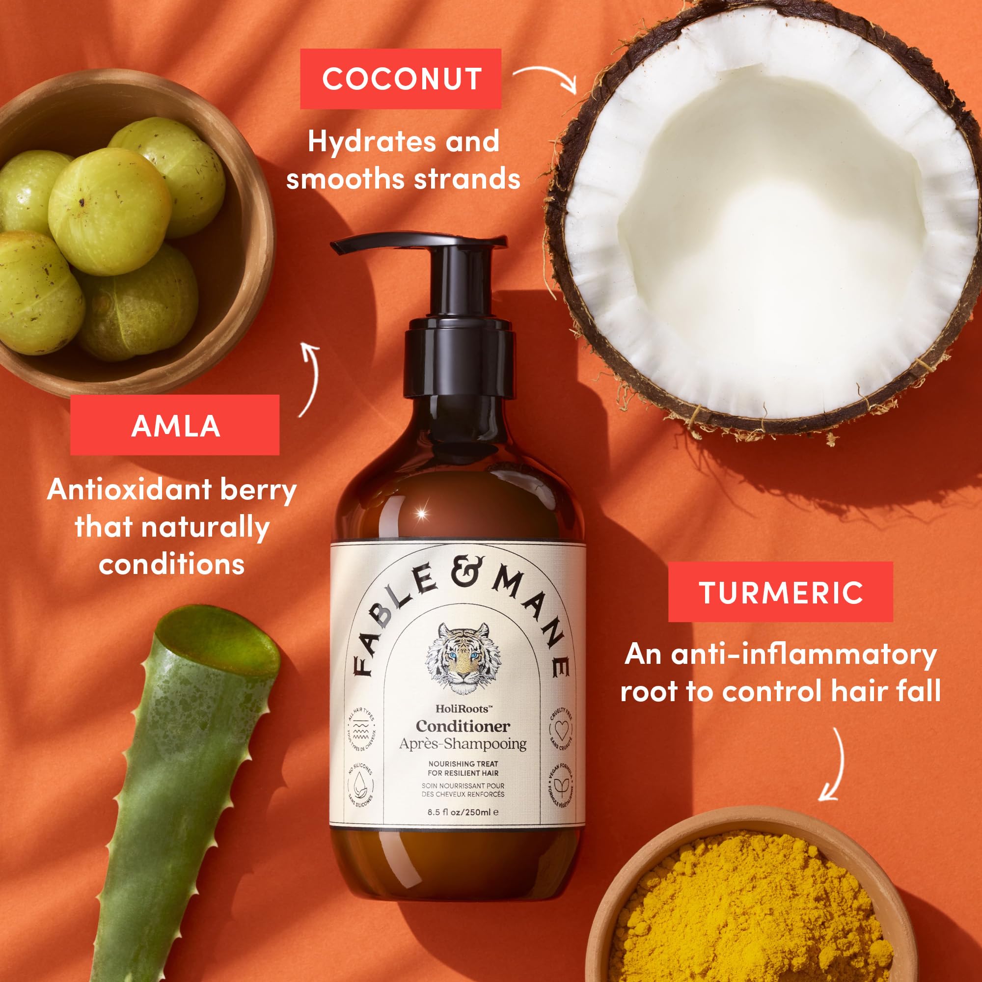 Fable & Mane Holiroots Conditioner for Women - Moisturizing for Damaged, Dry Hair with Turmeric, 8.5 FL oz