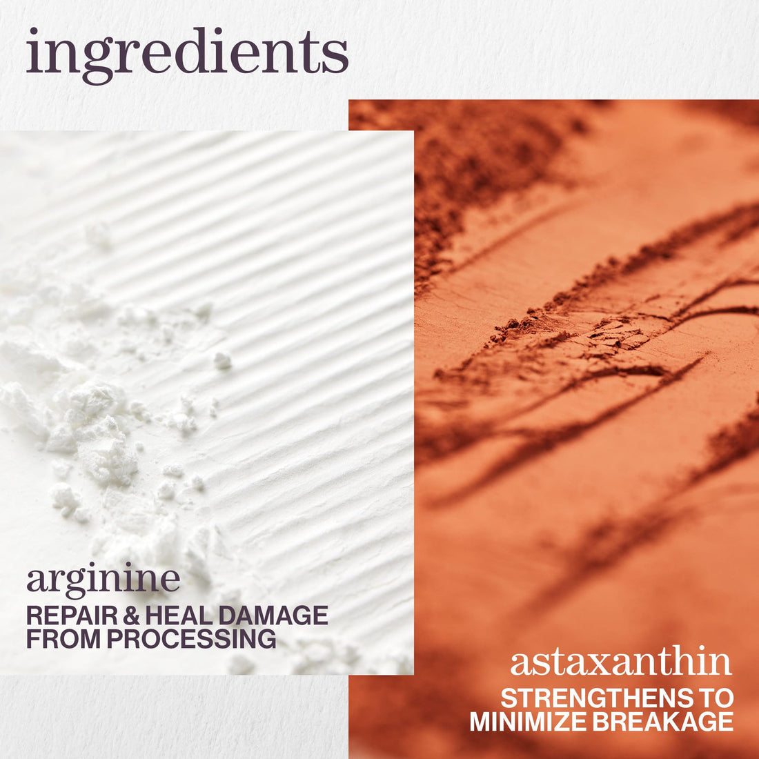 Pureology Strength Cure Shampoo | For Damaged, Color-Treated Hair | Fortifies & Strengthens Hair | Sulfate-Free | Vegan | Updated Packaging | 9 Fl. Oz