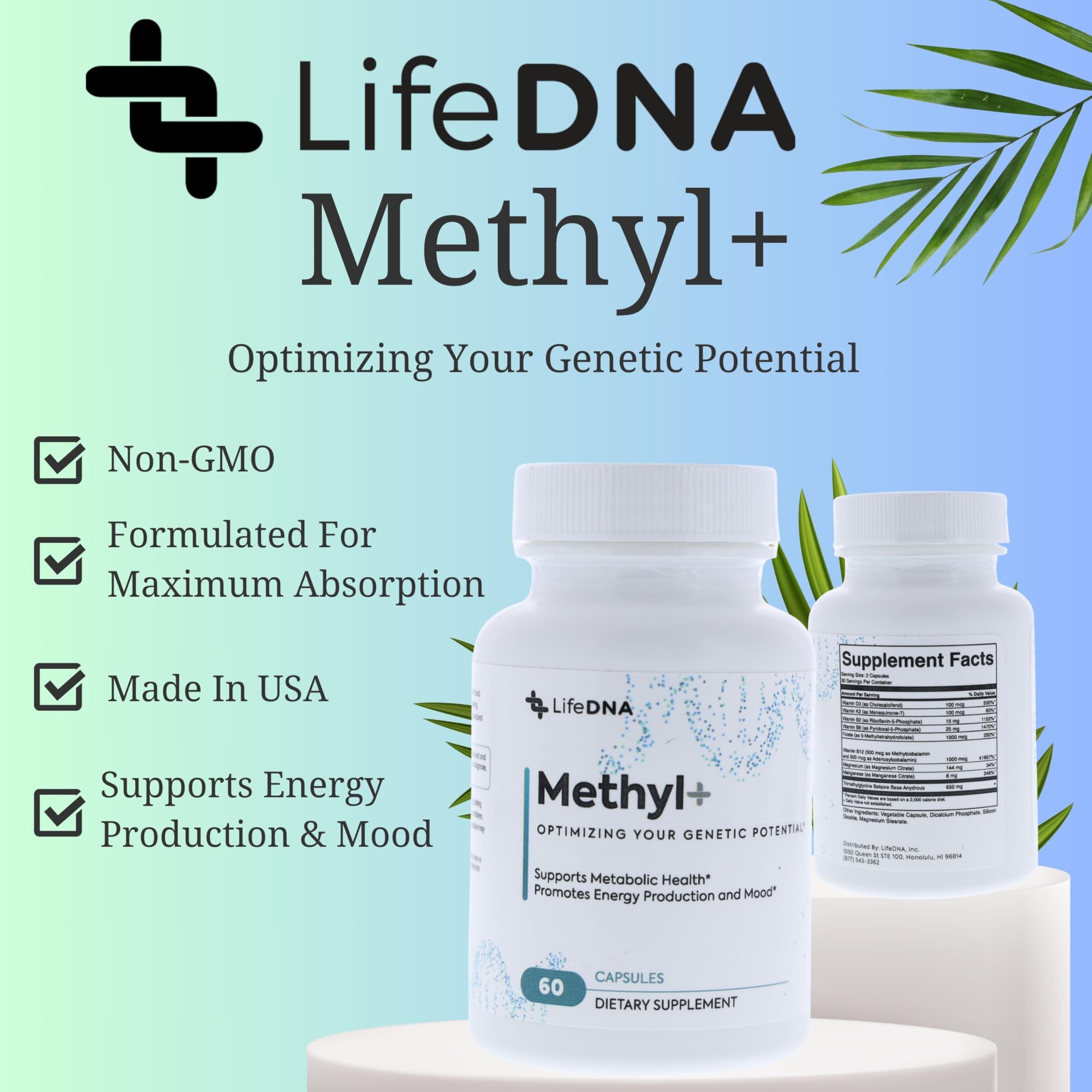 LIFEDNA Methyl+ Methylated Multivitamin Complex with Methylfolate & TMG for Optimized Homocysteine, Brain, Cardiovascular & Neurotransmitter Support