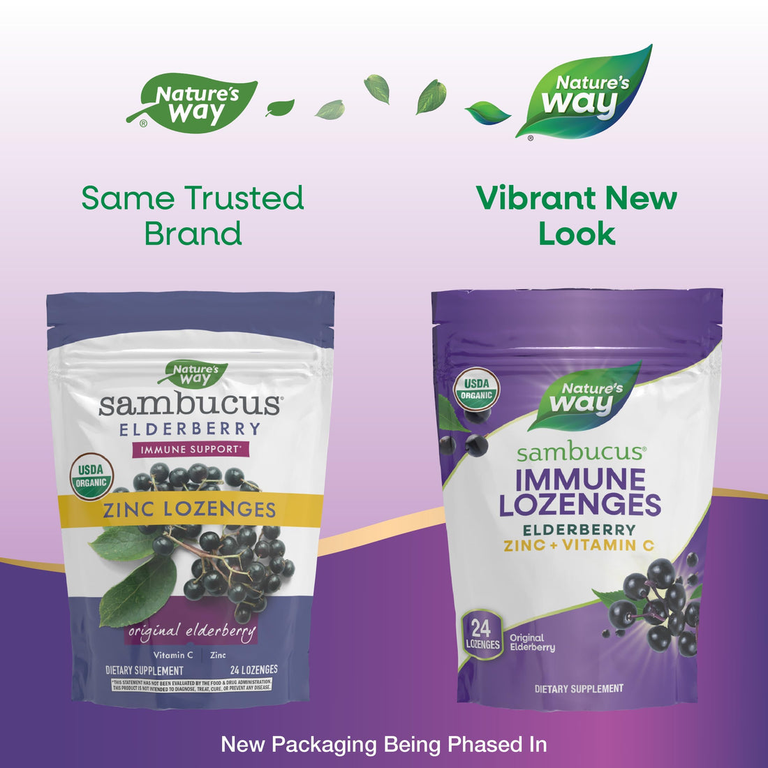 Nature’s Way Sambucus Organic Zinc Lozenges, Elderberry and Zinc Lozenges with Vitamin C, Certified Organic, Berry Flavored, 24 Lozenges