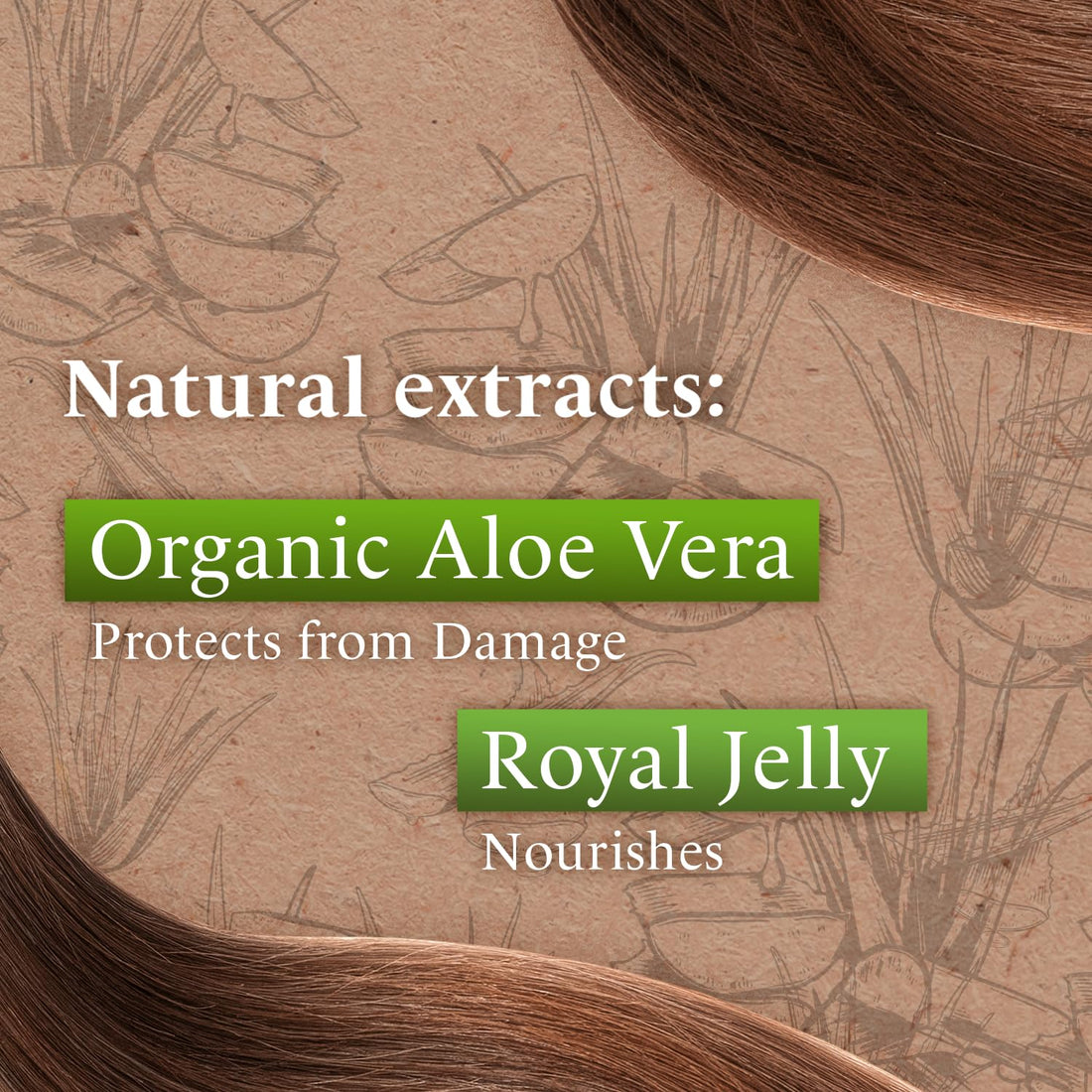 Tio Nacho Shampoo, 14 Oz - Organic Aloe Vera Deep Repair, Paraben Free, Silicone Free, for Dry Damaged Frizzy Hair