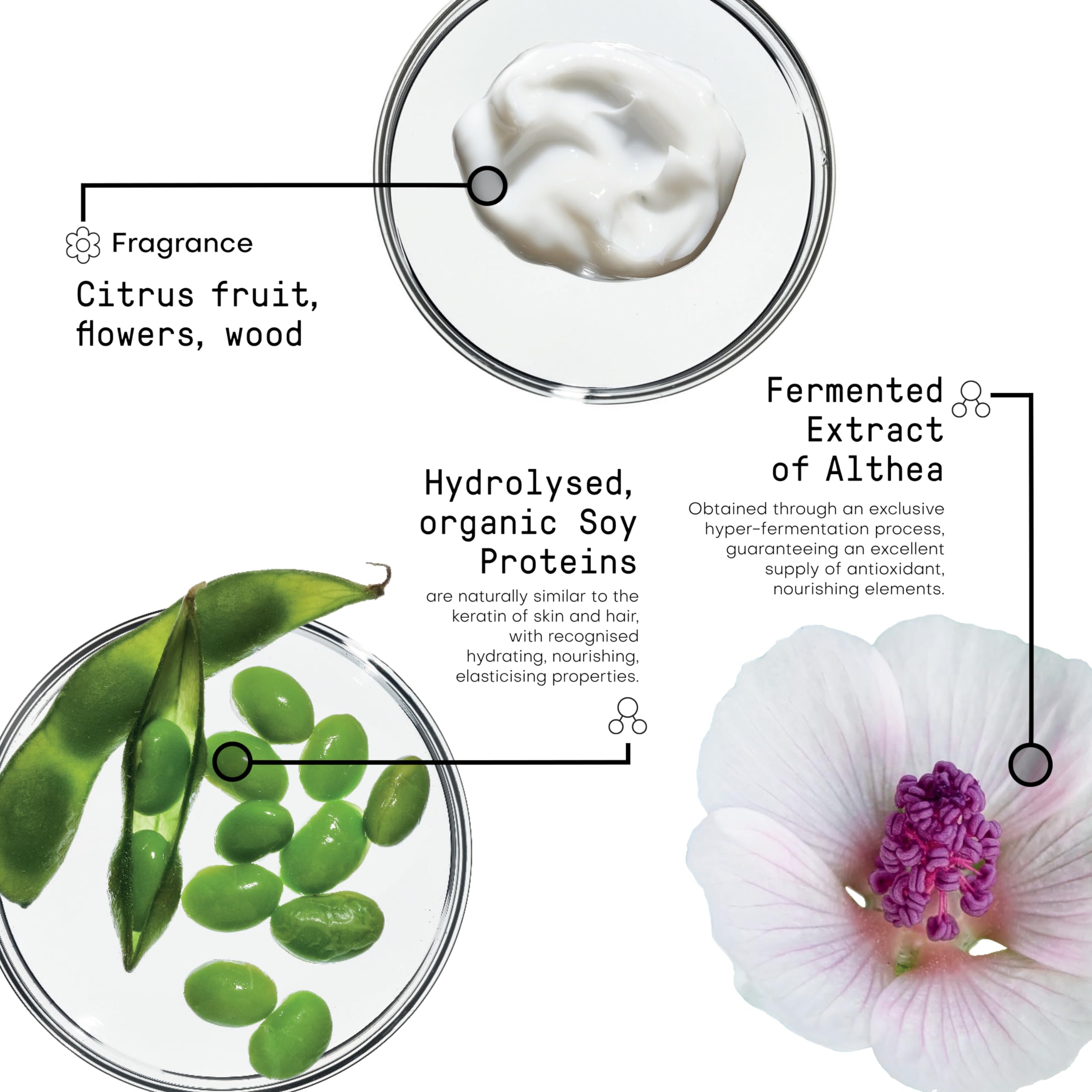 FRAMESI Morphosis Love Extension Conditioner 8.4 fl oz, Conditioner for Hair Extensions and Wigs, Natural Ingredients, Gently Cleanses and Hydrates, Color Safe