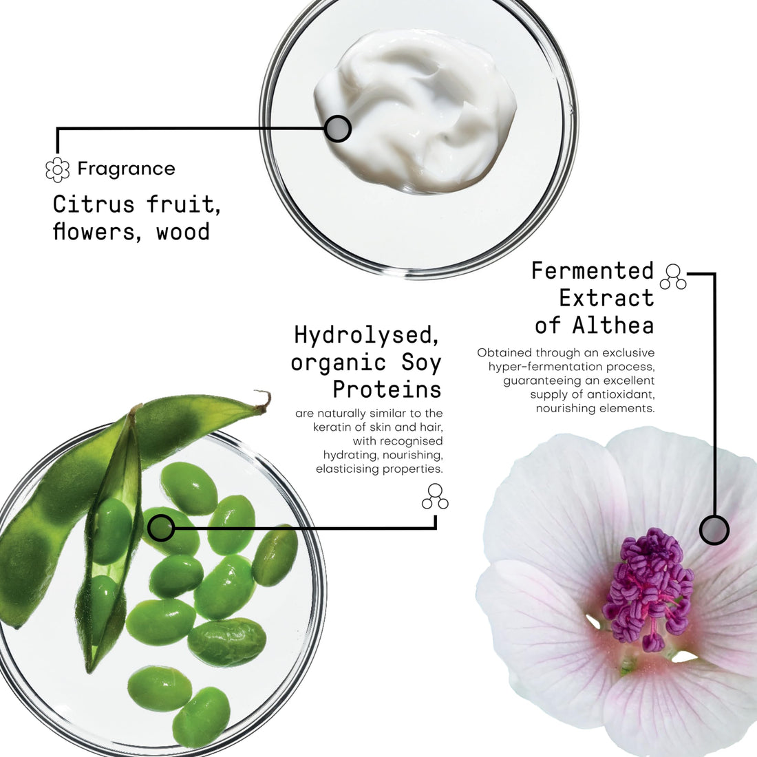 FRAMESI Morphosis Love Extension Conditioner 8.4 fl oz, Conditioner for Hair Extensions and Wigs, Natural Ingredients, Gently Cleanses and Hydrates, Color Safe