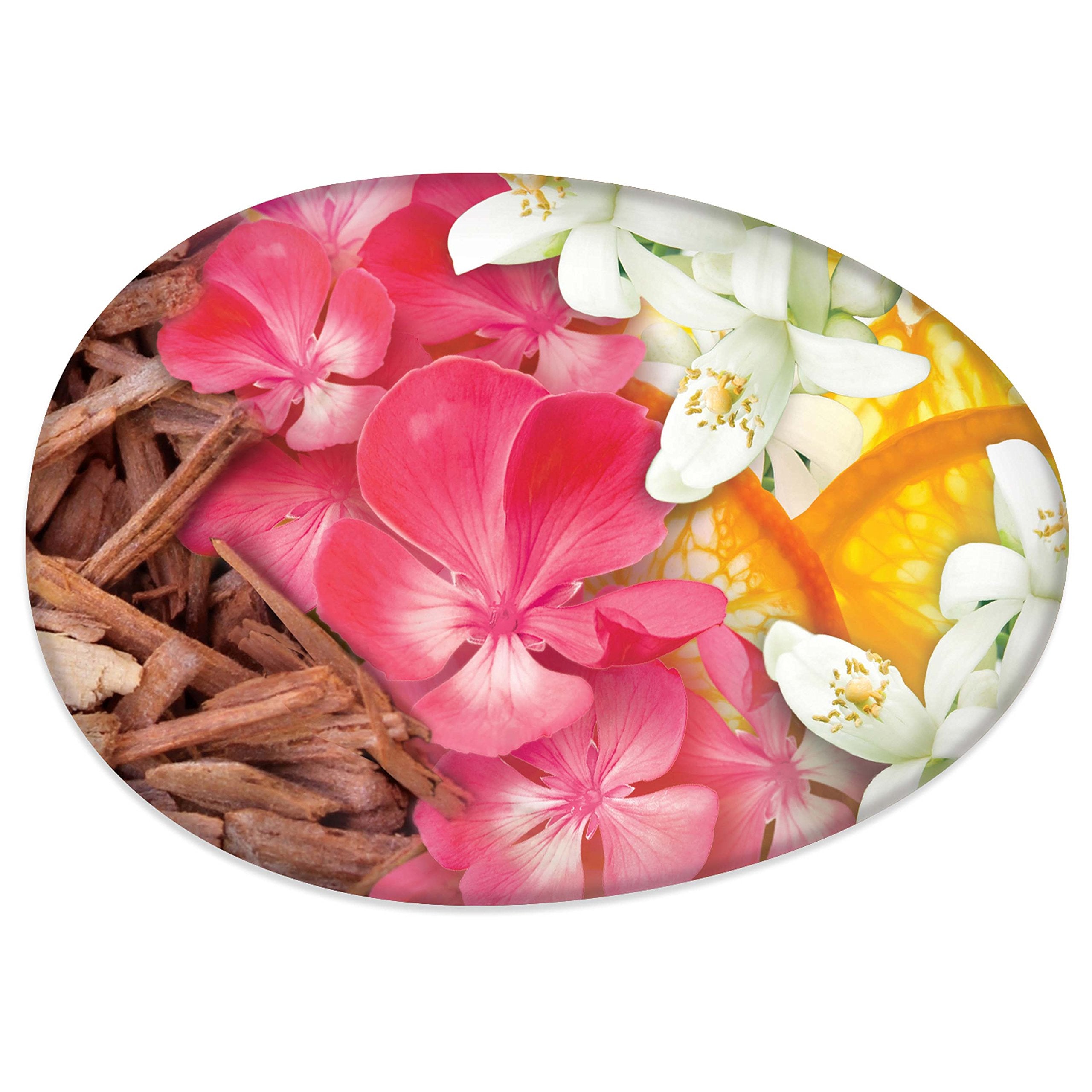 Caress Beauty Bar Soap For Women, Daily Silk With Silk Extract and Floral Oil Essence Moisturizing Body Soap for Silky, Soft Skin, 3.75 oz, 2 Bath Bars